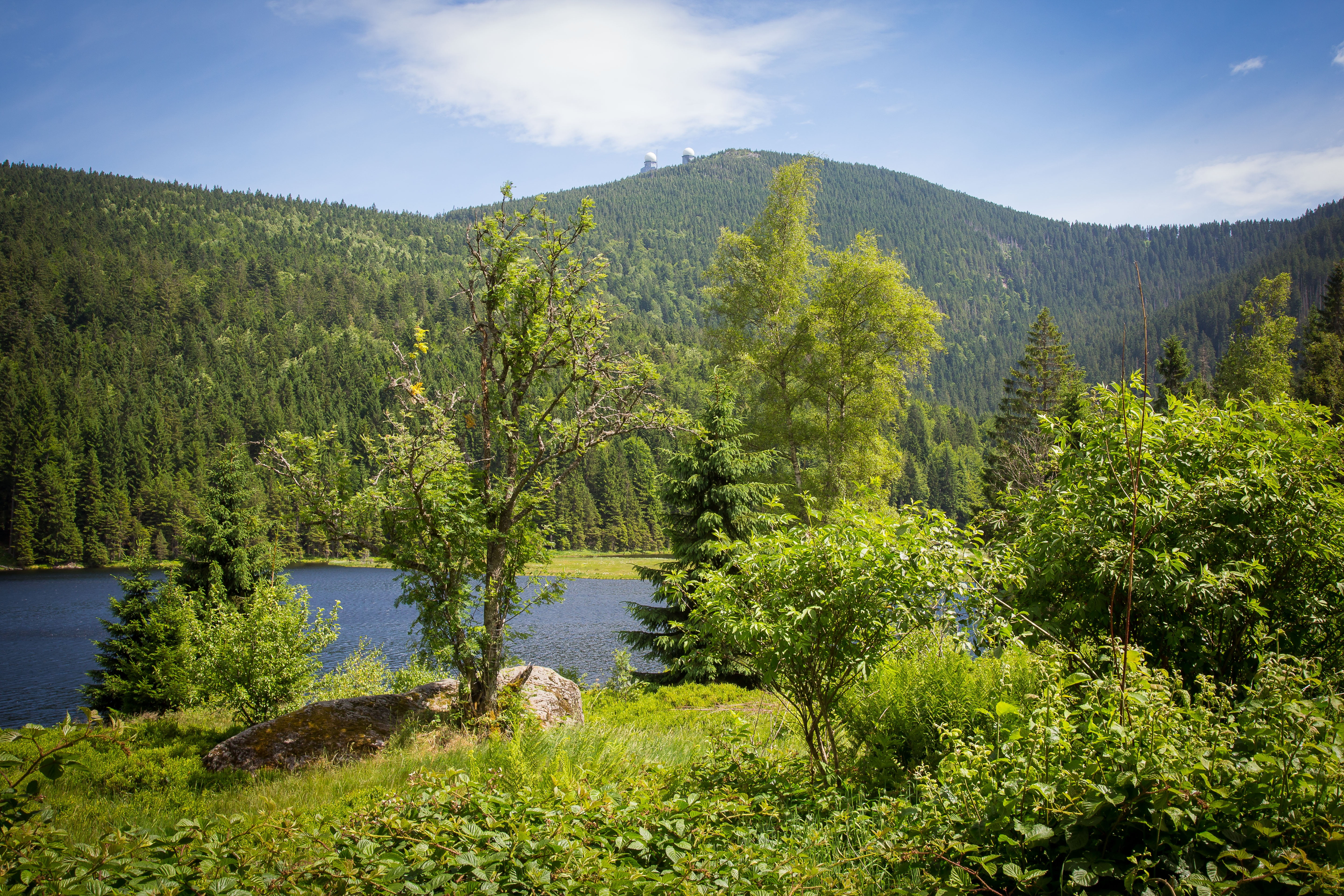 sky, water, day, nature, landscape, environment, bergsee, scenics - nature, land, mountain, no people, 5K, great arber, forest, plant, coniferous tree, HD Wallpaper