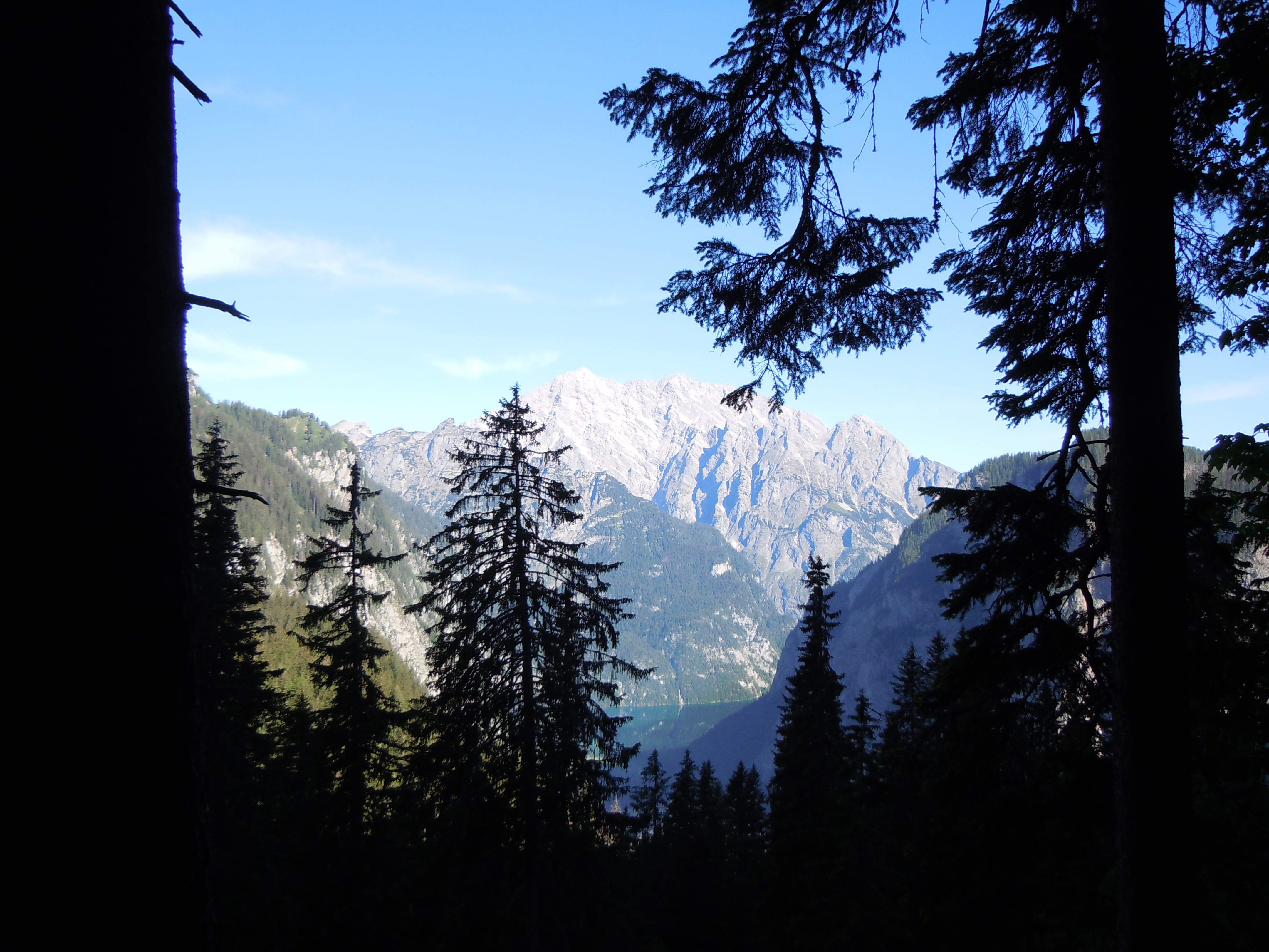 watzmannkinder, winter, tranquil scene, great watzmann, watzmannfrau, forest, coniferous tree, snowcapped mountain, non-urban scene, watzmann middle peak, HD Wallpaper