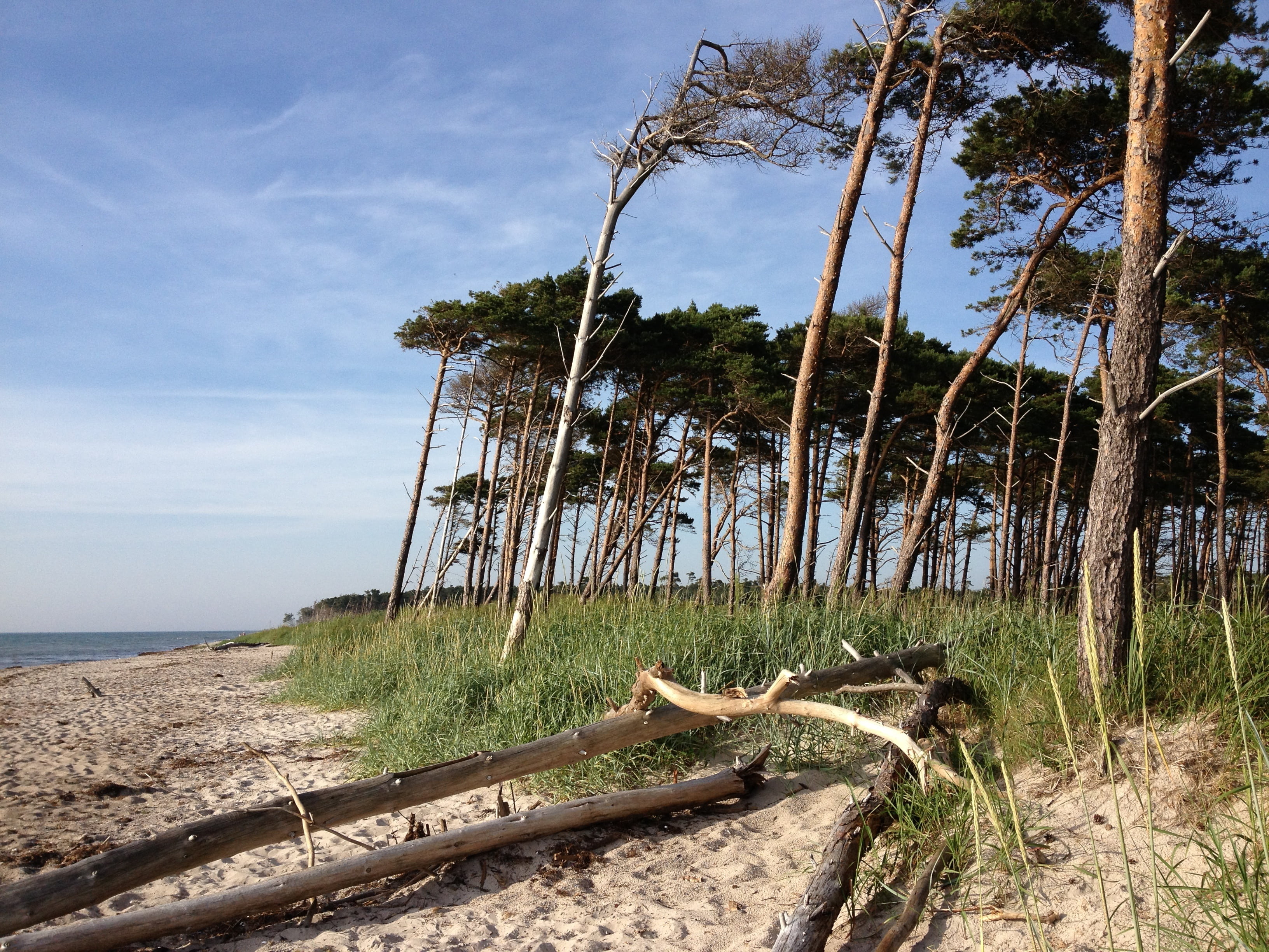 bank, cloud - sky, recovery, outdoors, scenics - nature, land, coast, beach, horizon over water, tranquility, water, northern germany, beauty in nature, HD Wallpaper