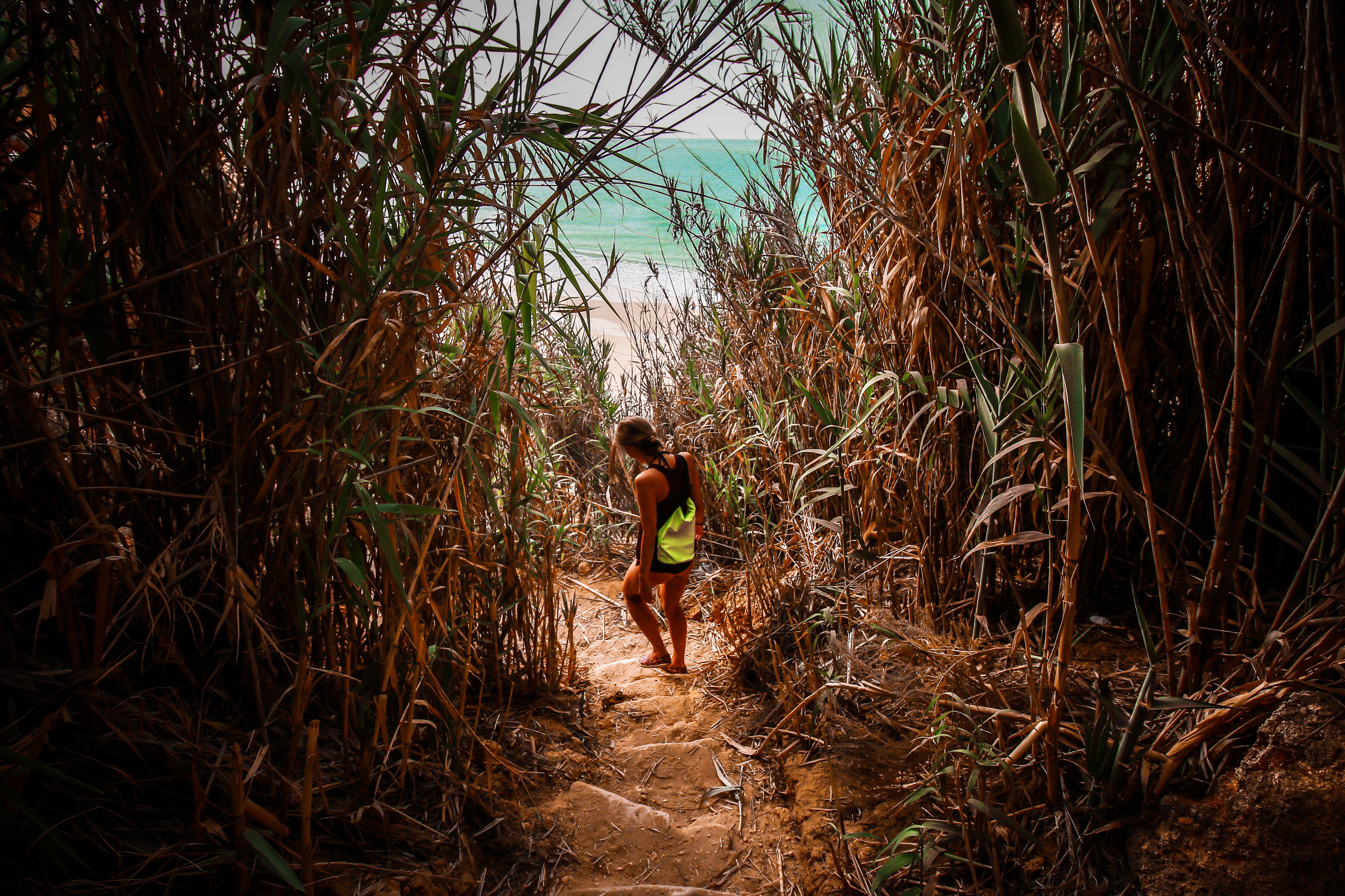 leisure activity, kleiner versteckter strand bei lagos, growth, nature, forest, young women, holiday, secret, tree, standing, day, full length, real people, HD Wallpaper