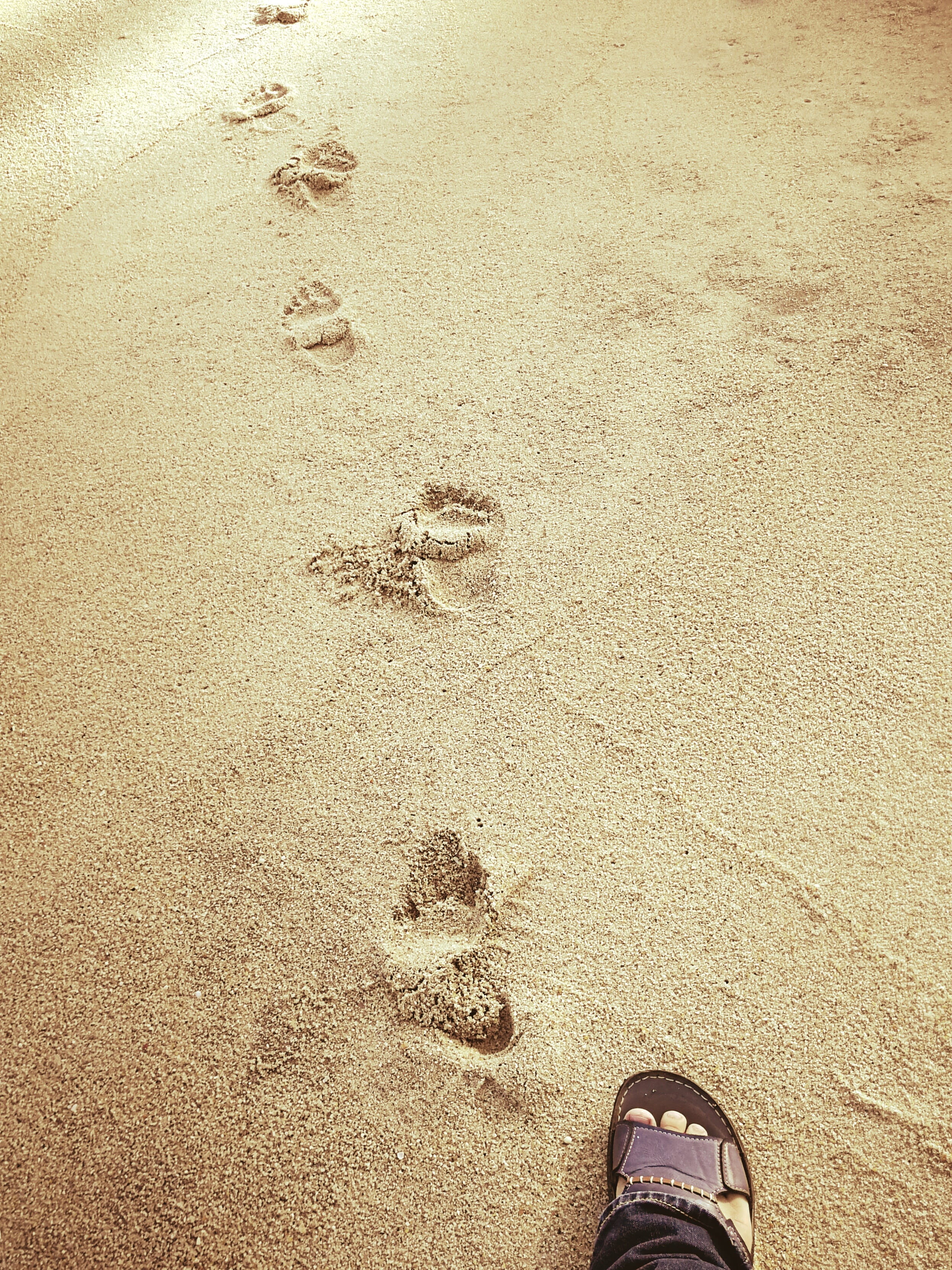 real people, low section, land, people, 2K, personal perspective, seashore, nature, human foot, human limb, beach, day, sand, foot, sandy, paw print, print, Phone HD Wallpaper