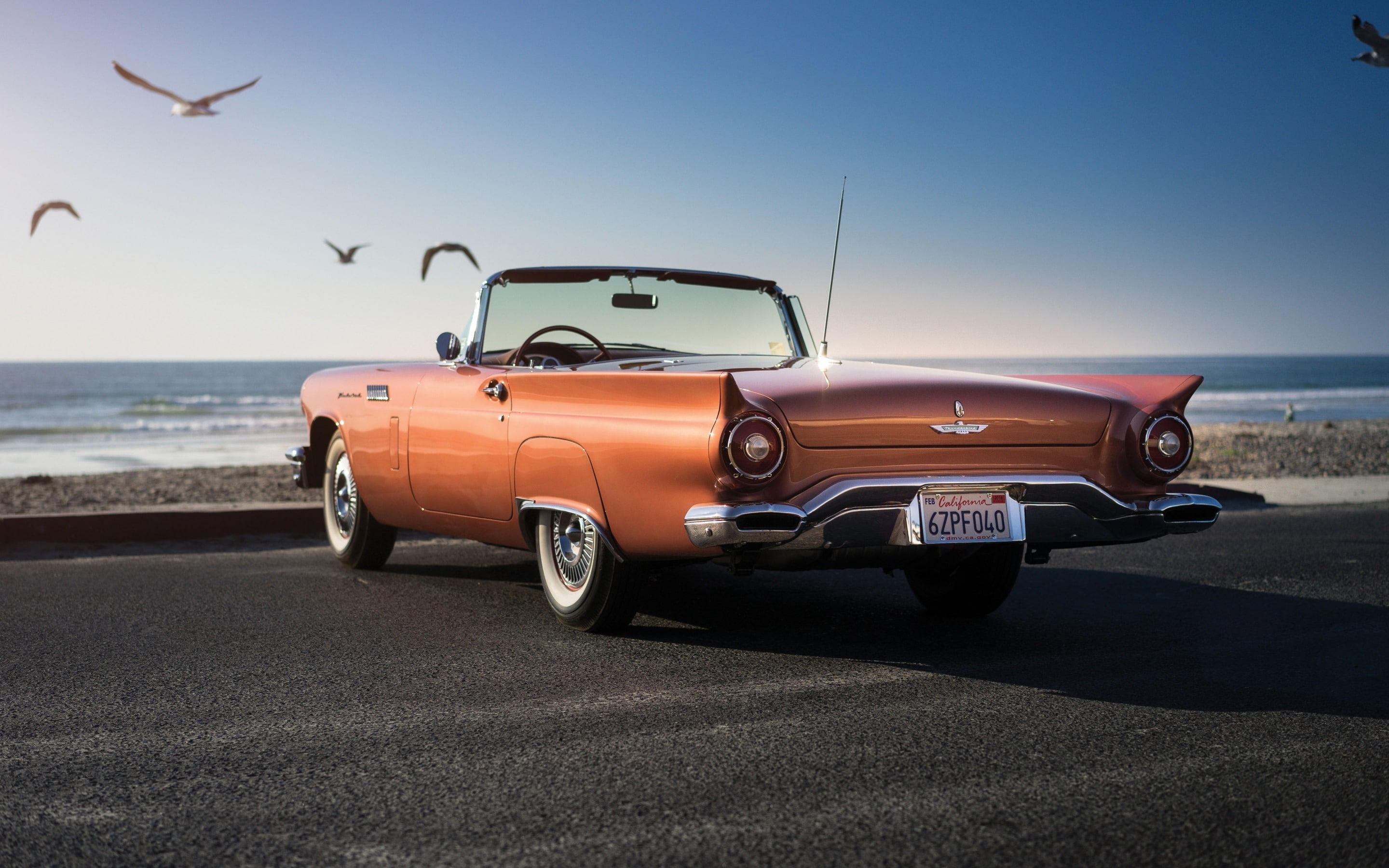 ford, 2K, thunderbird, HD Wallpaper