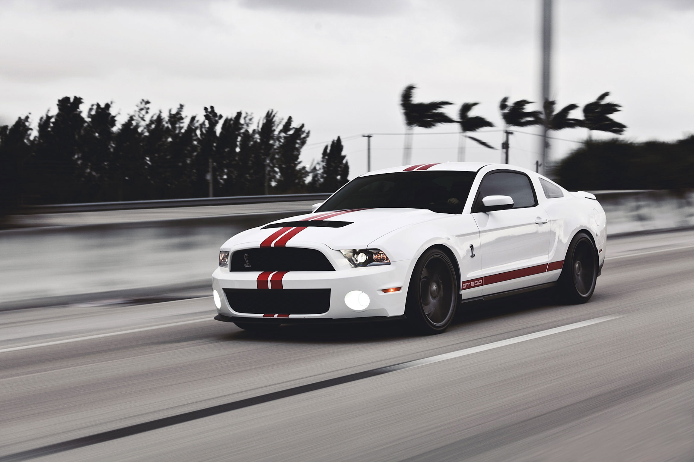 outdoors, competition, supercar, day, mode of transportation, wheel, car, plant, gt500, engine, no people, racecar, white, Shelby, sports Race, Mustang, HD Wallpaper
