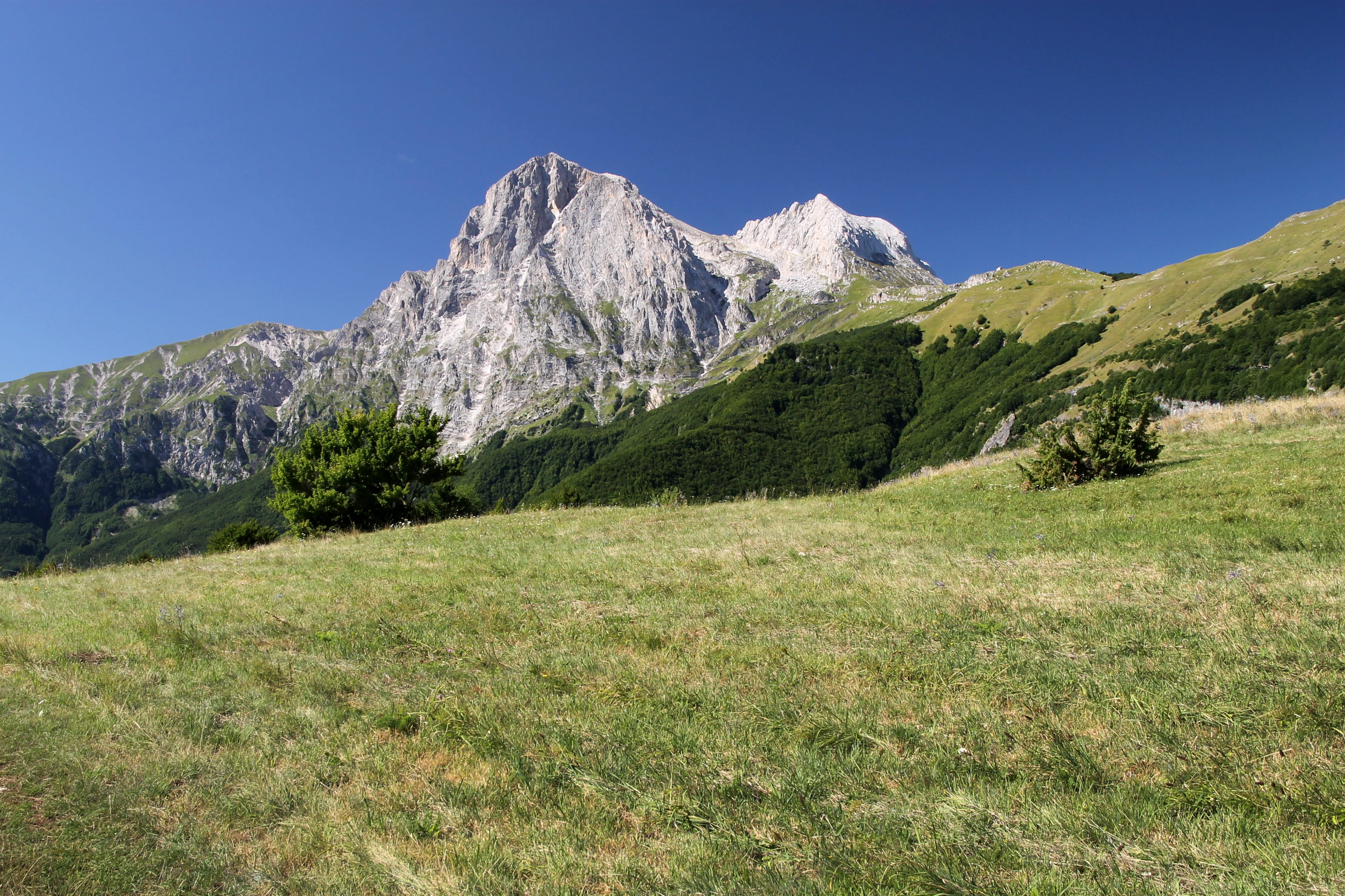 trekking, mountain peak, blue, environment, abruzzo, tree, tranquility, grass, scenics - nature, pine tree, 2K, tranquil scene, landscape, outdoors, plant, HD Wallpaper