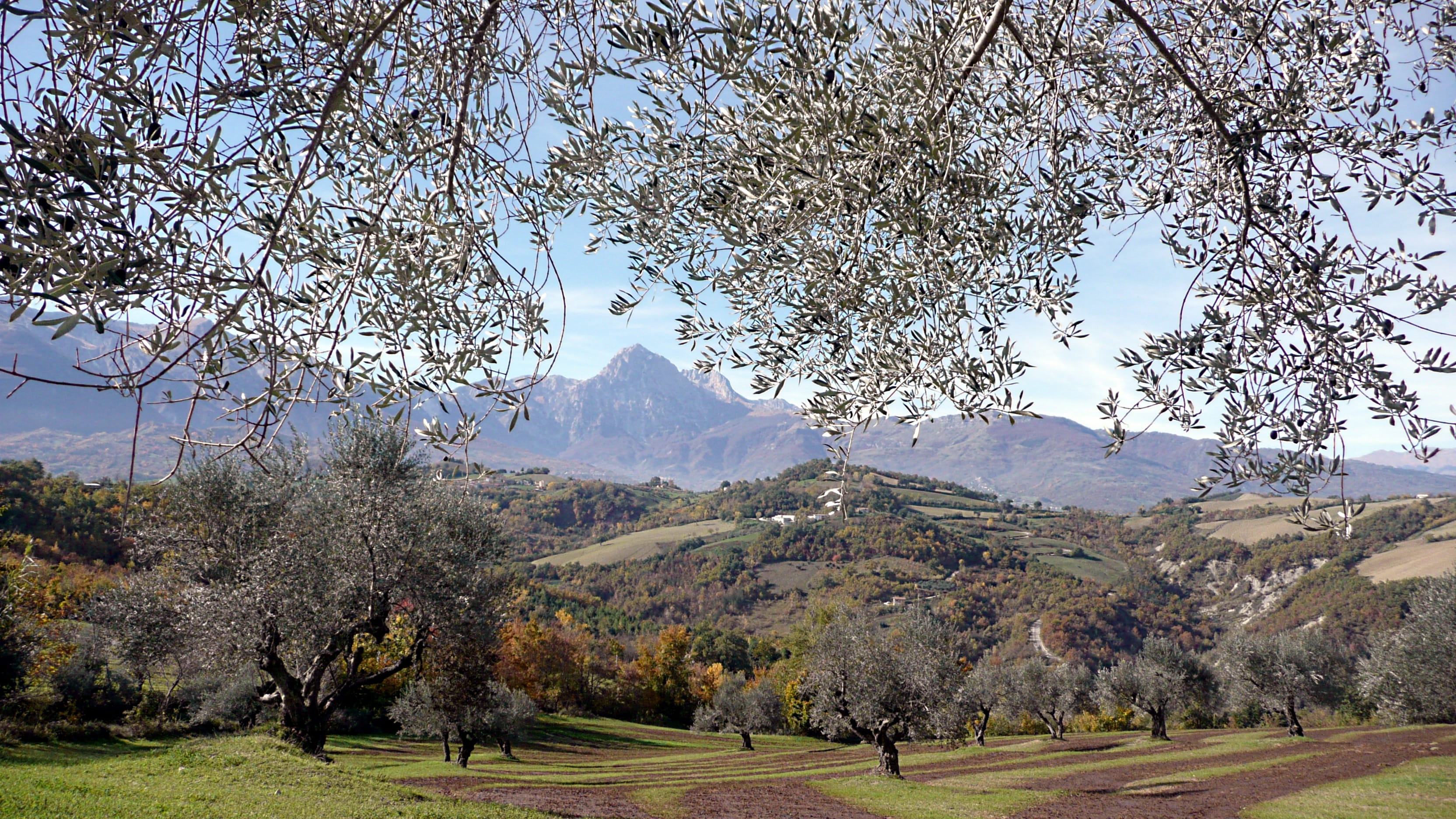 idyllic, panorama, beauty in nature, 2K, plant, november, day, tranquil scene, italy, landscapes, outdoors, grass, environment, scenery, tranquility, scenic, HD Wallpaper