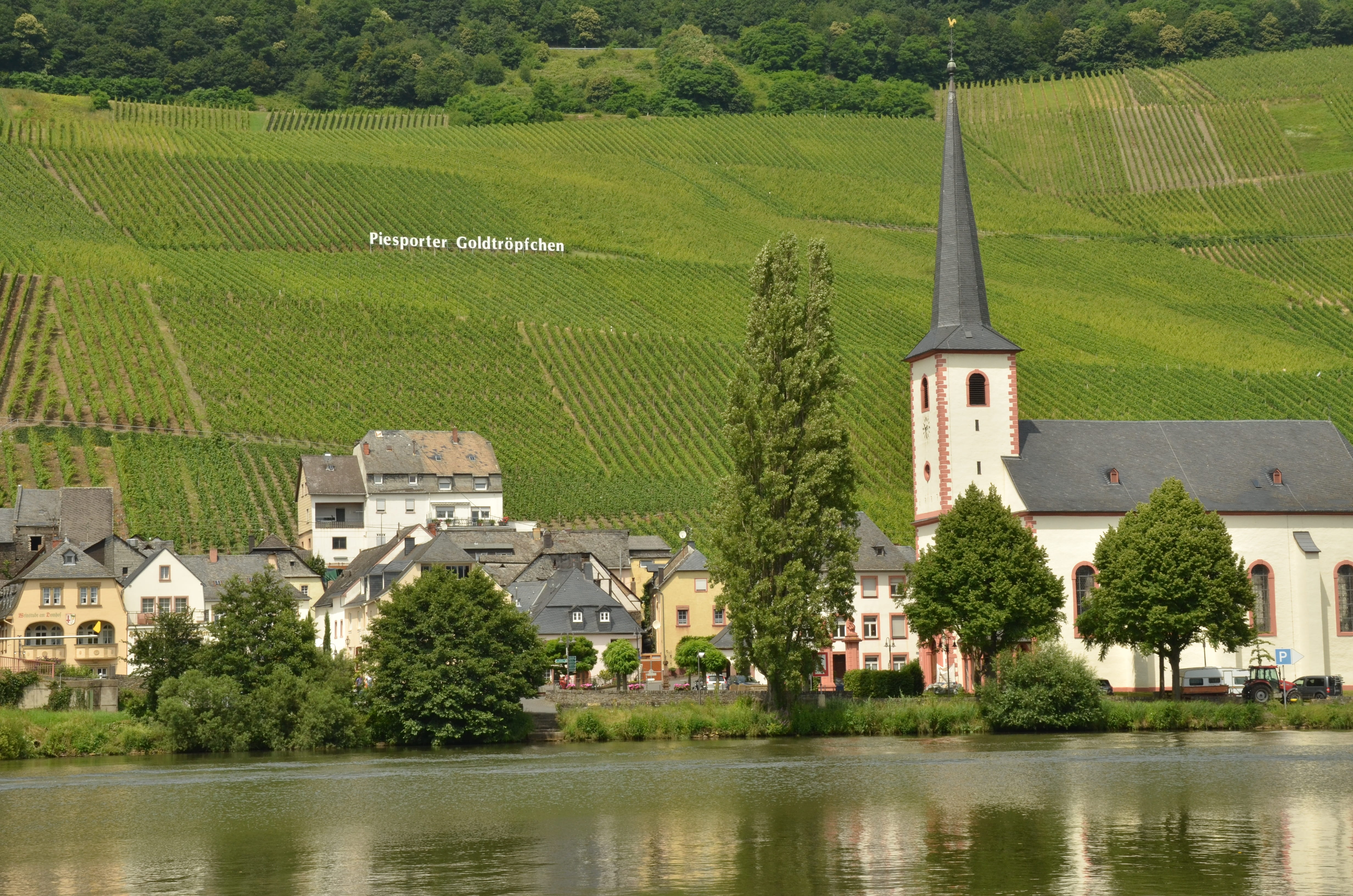 day, wine, built structure, river, no people, outdoors, 4K, architecture, green color, moselle, field, nature, house, water, landscape, growth, germany, HD Wallpaper