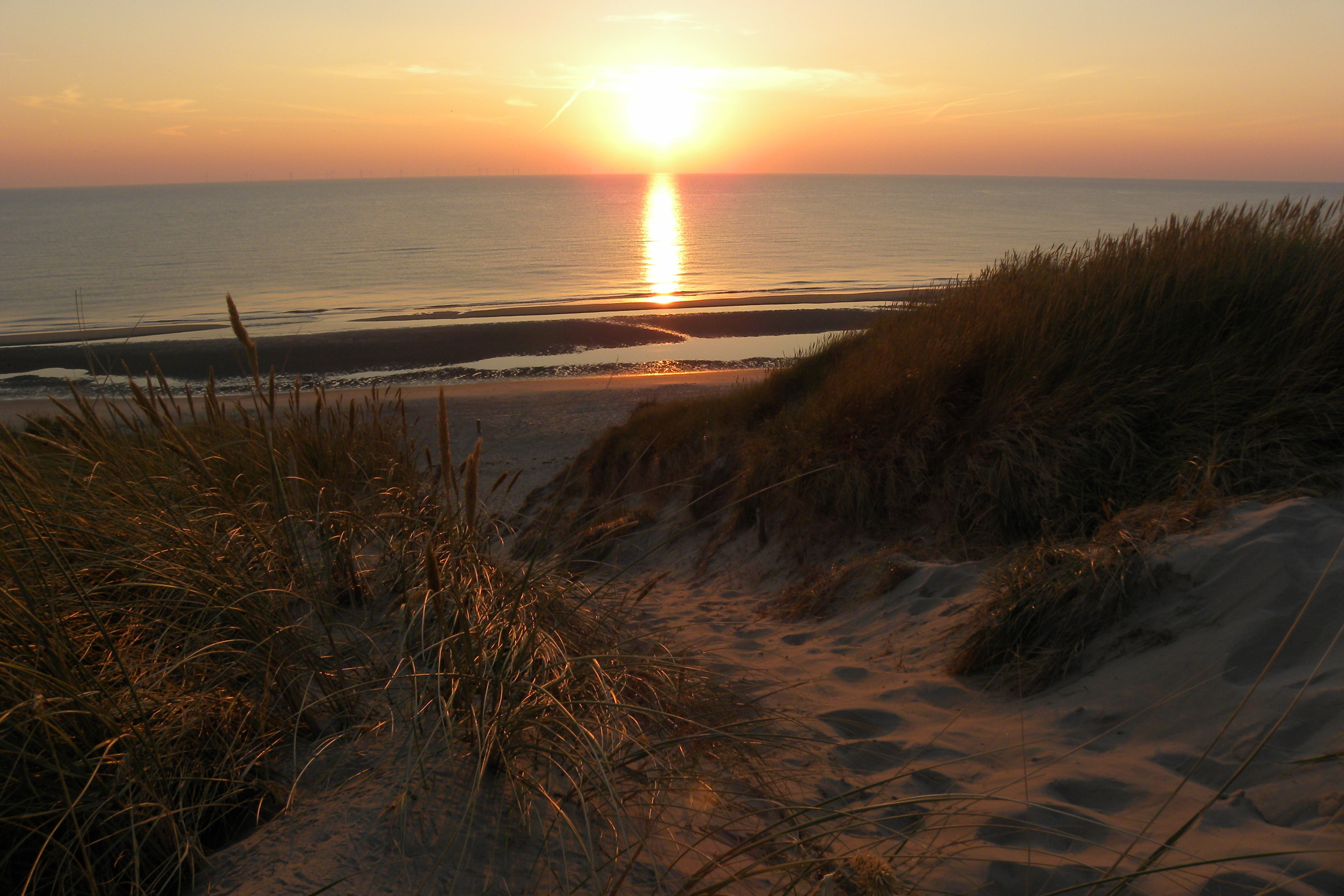 noord-holland, sea, dunes, nature, grass, tranquility, beauty in nature, horizon, sunlight, peaceful, plant, evening, holiday, water, 4K, horizon over water, HD Wallpaper