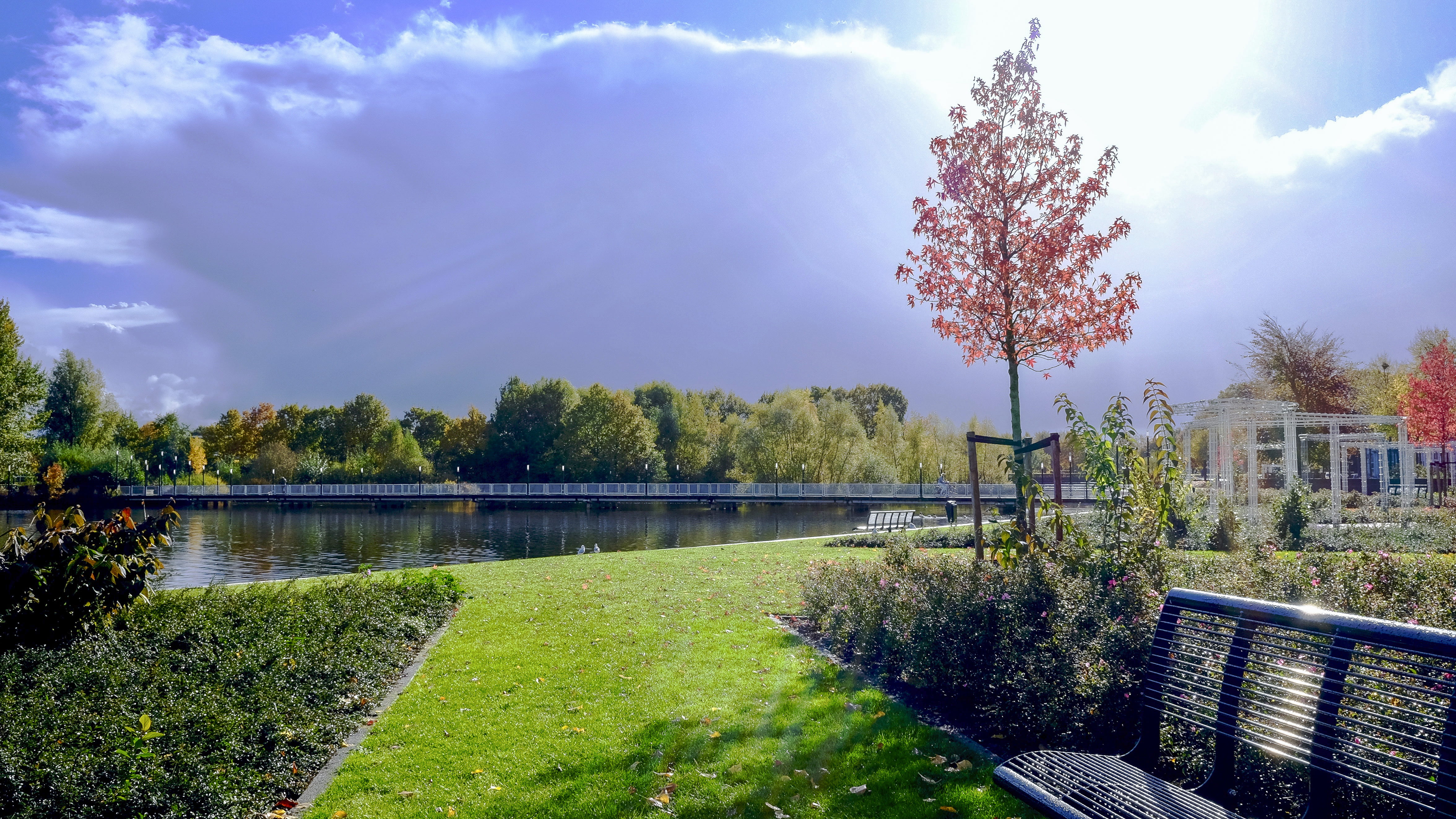cloud - sky, black, tree, matthias zomer, 4K, bench, metal, architecture, daylight, clouds, plant, river, scenic, water, garden, reflection, trees, autumn, HD Wallpaper