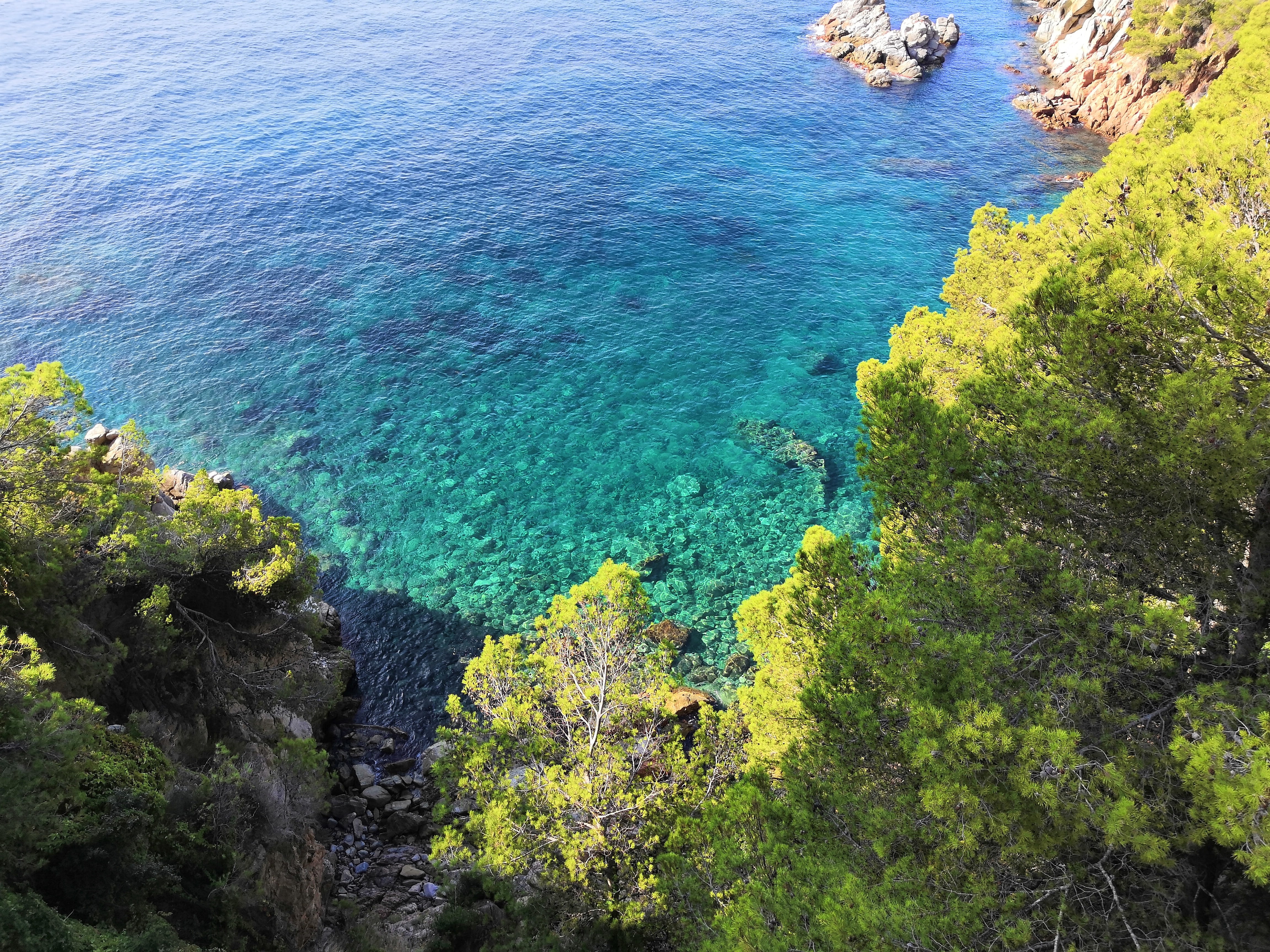 day, idyllic, blue, scenics - nature, 4K, tree, tranquil scene, outdoors, water, tranquility, rock, growth, high angle view, costa brava, beach, nature, HD Wallpaper