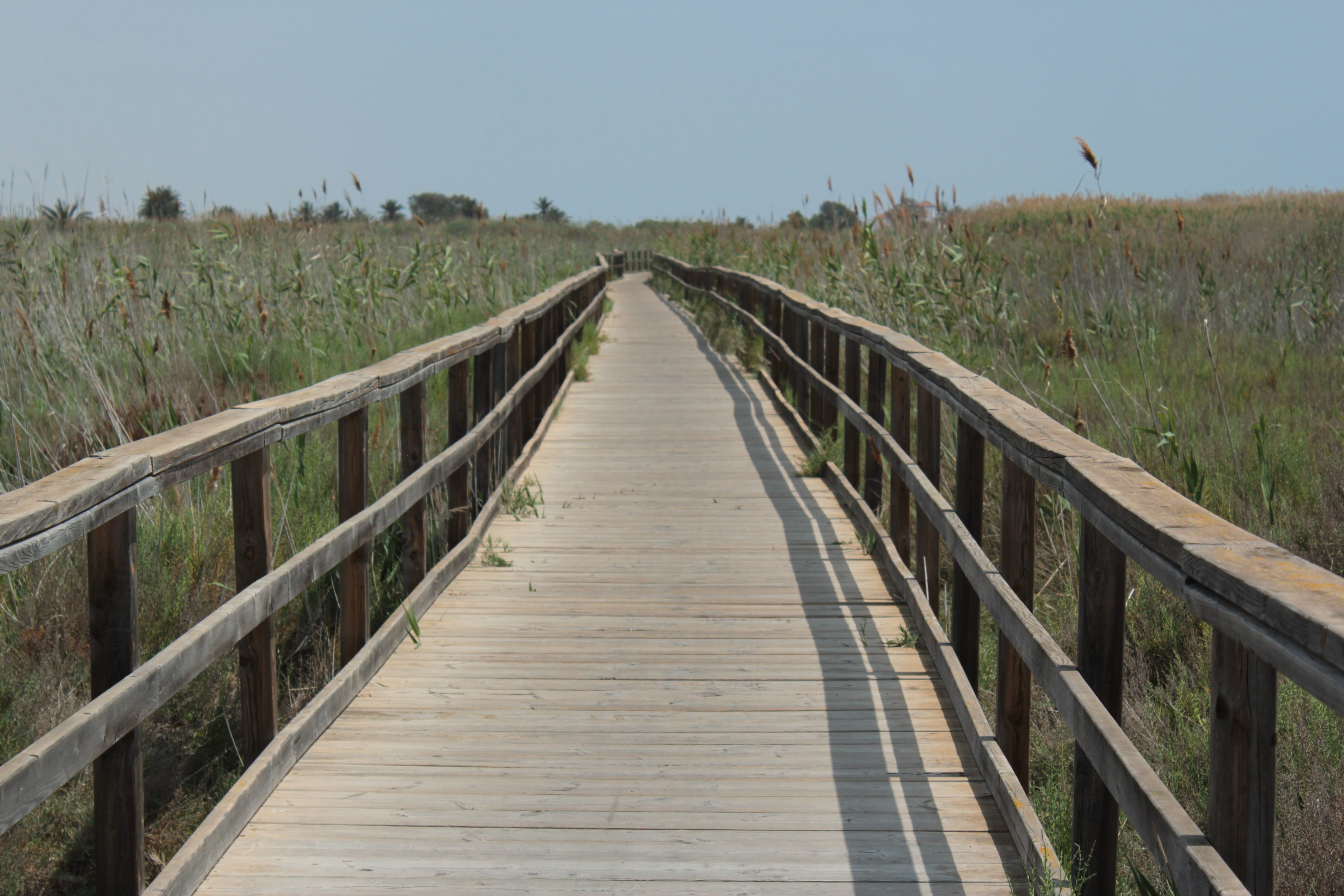 boardwalk, holiday, land, grass, long, peace, coastal, railing, connection, viewpoint, sea, path, horizon, footbridge, tranquil scene, gateway, sky, coastal path, HD Wallpaper