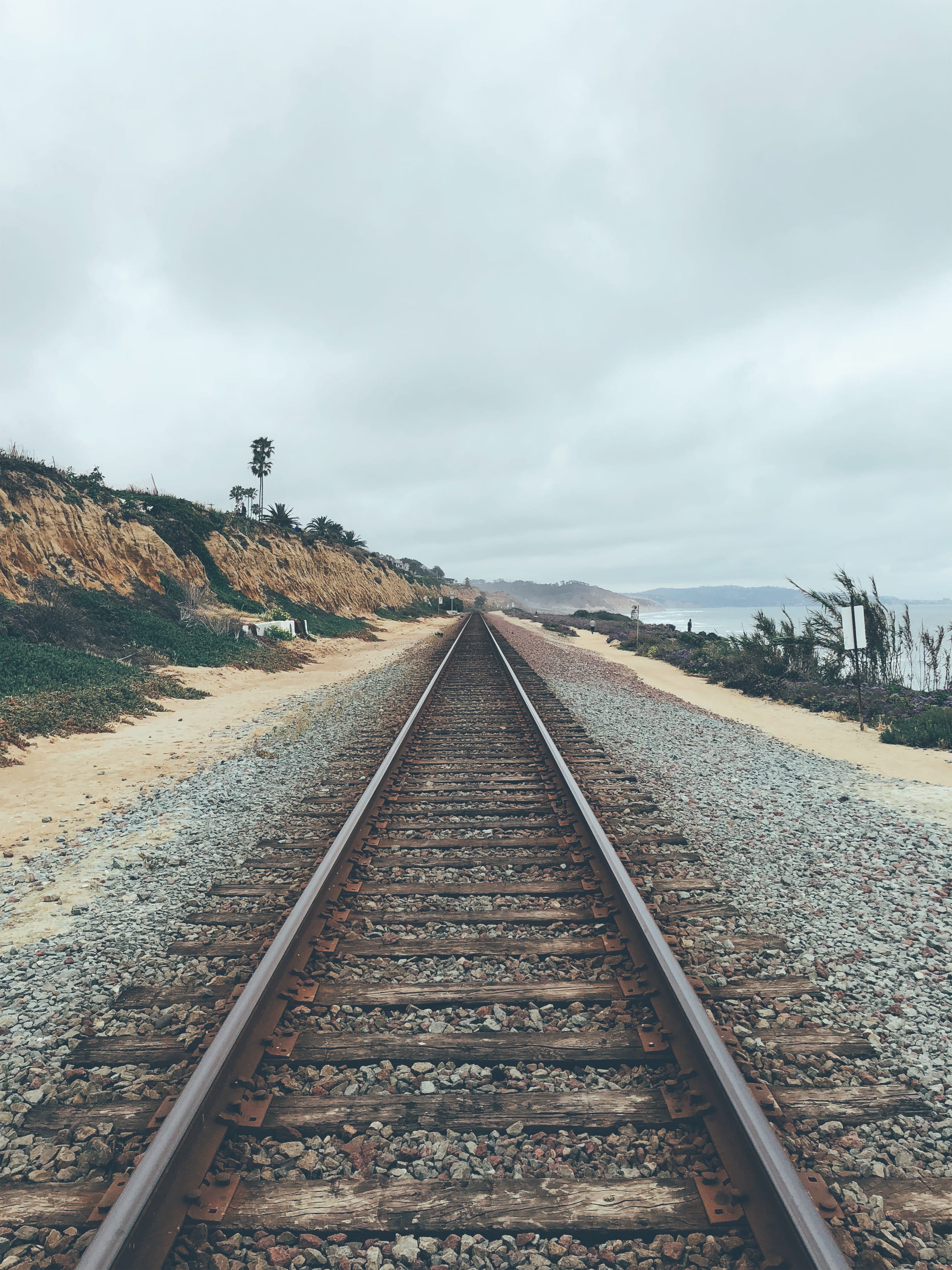 rail transportation, straight, tree, vanishing point, track, united states, train, transportation, non-urban scene, sky, railroad track, coast, beauty in nature, Phone HD Wallpaper