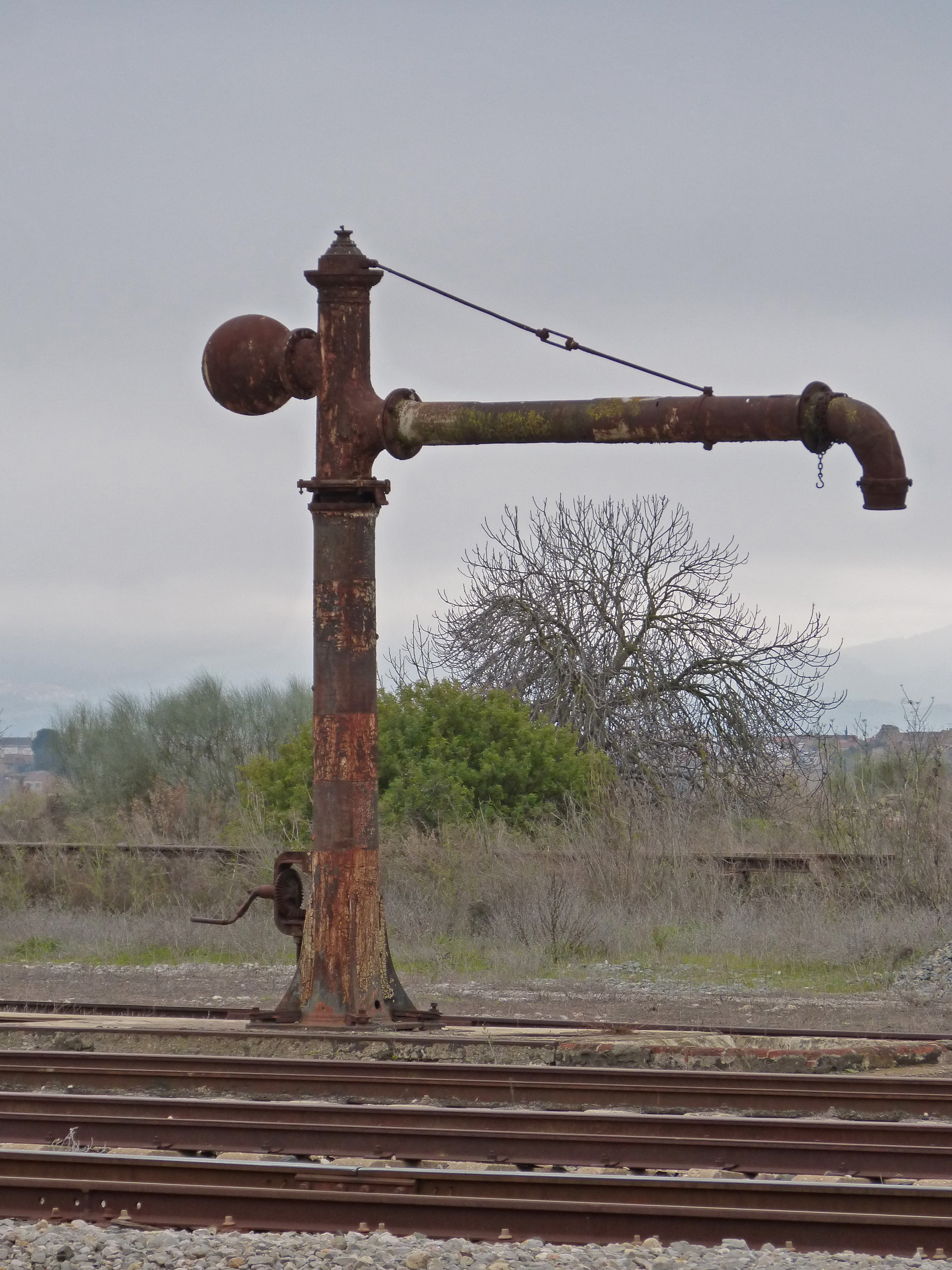 track, water, tree, 4K, landscape, wood - material, day, land, rusty, plant, field, non-urban scene, outdoors, steam, abandoned, environment, rail transportation, Phone HD Wallpaper