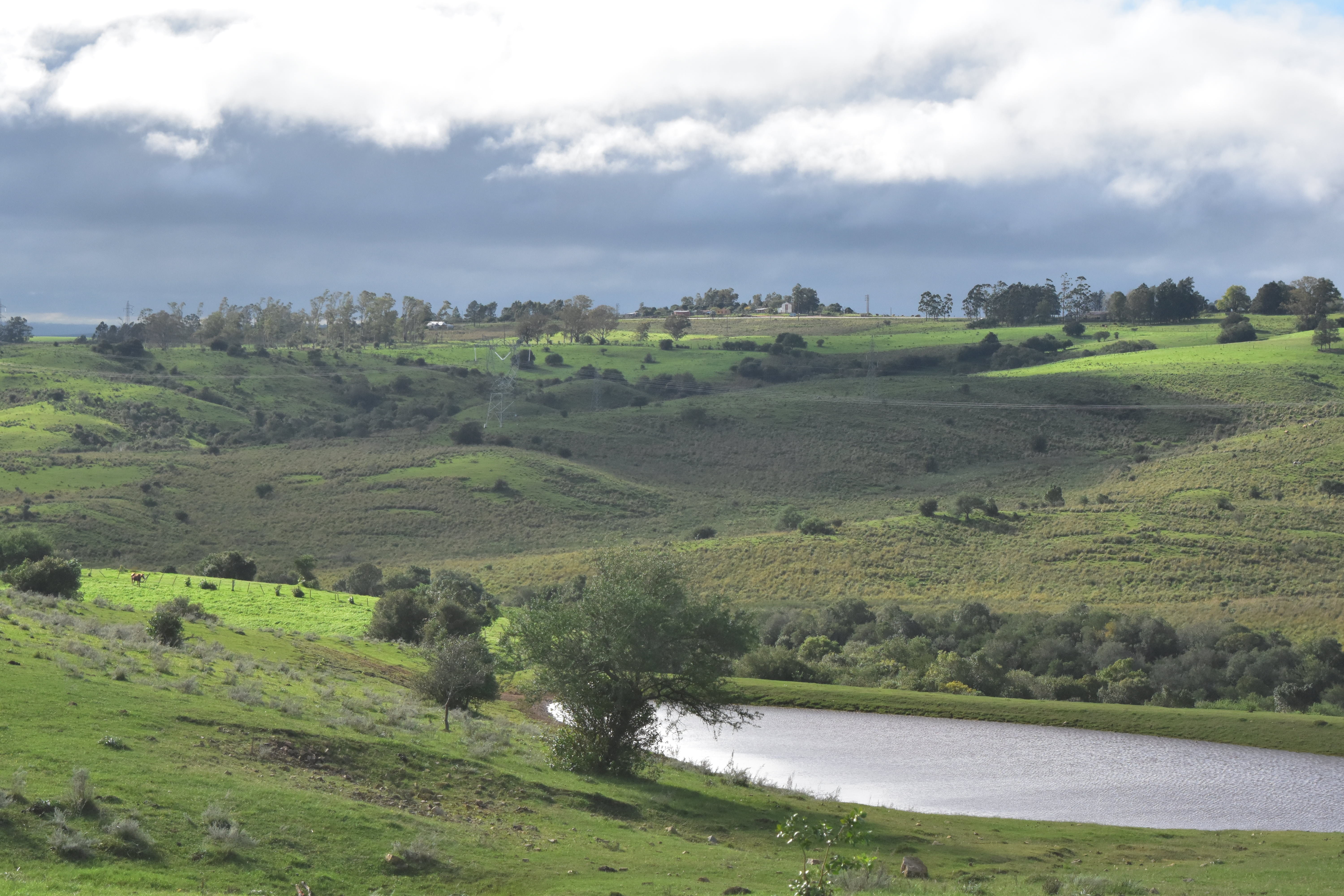 scenics - nature, tree, dark, land, water, 5K, grass, field, aguada, hurricane, day, cloud - sky, clouds, verdeos, sky, green color, non-urban scene, mysterious, HD Wallpaper