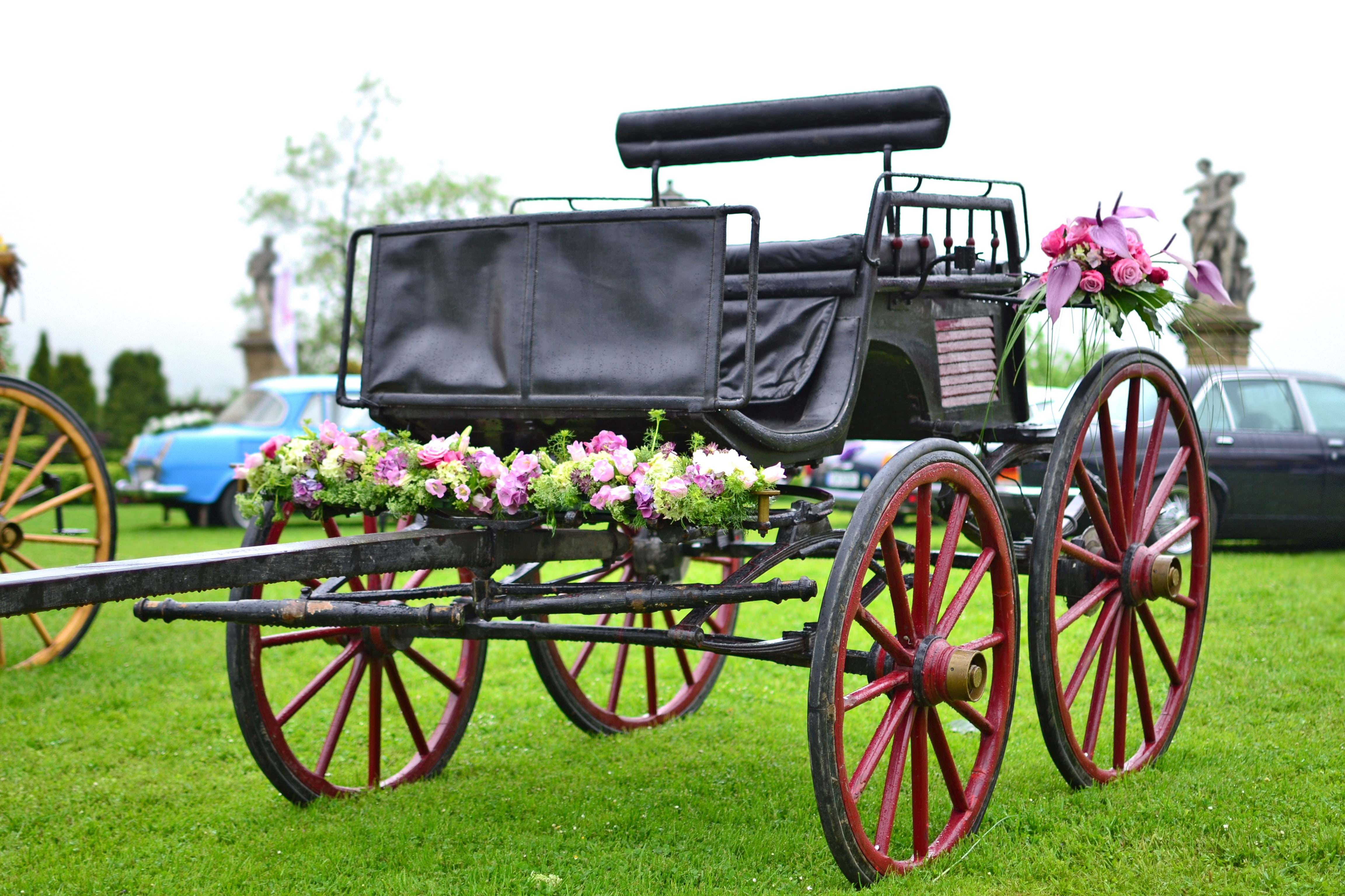 growth, for a long time, the nobility, grass, transportation, mode of transportation, wedding decoration, aristocracy, carriage, wedding procession, fragility, HD Wallpaper