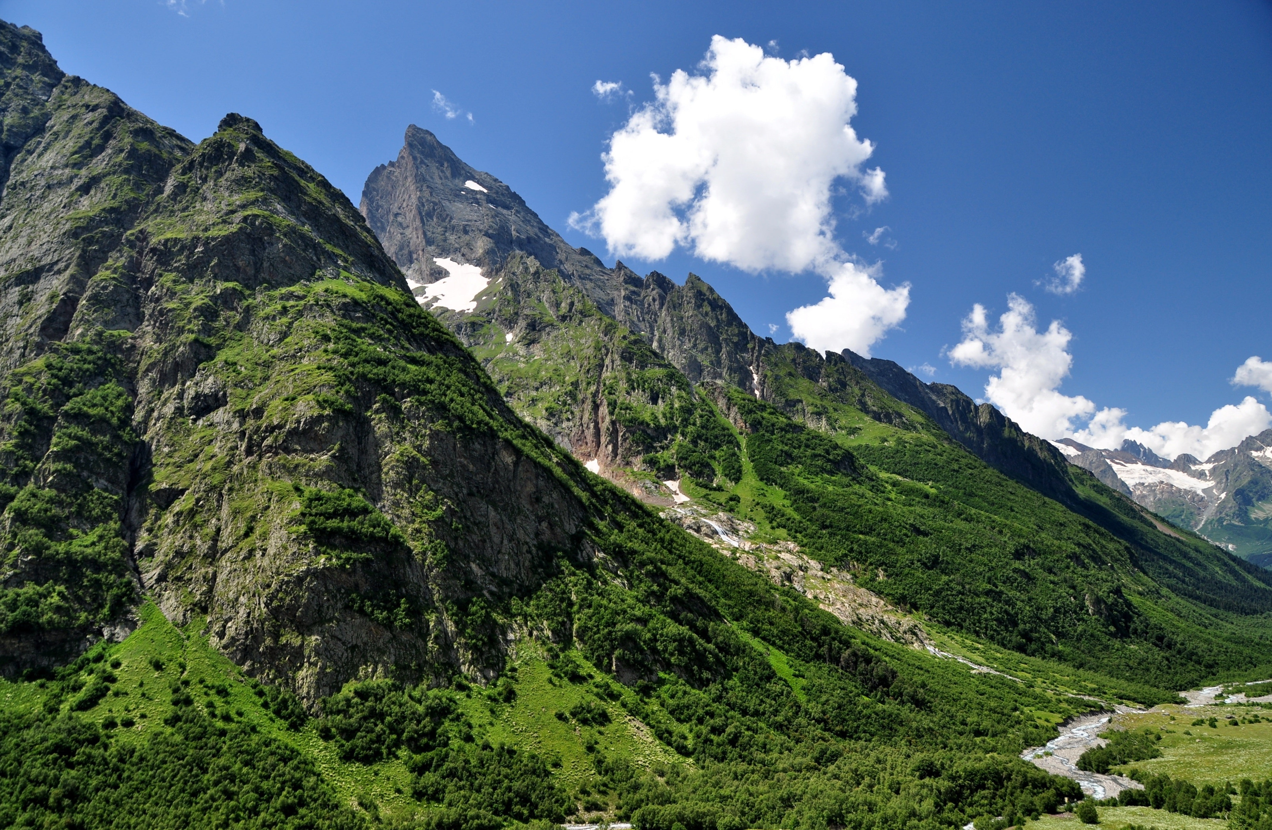 tranquility, tree, Nature, green color, tranquil scene, idyllic, environment, Mountains, forest, mountain, Caucasus, non-urban scene, plant, landscape, HD Wallpaper