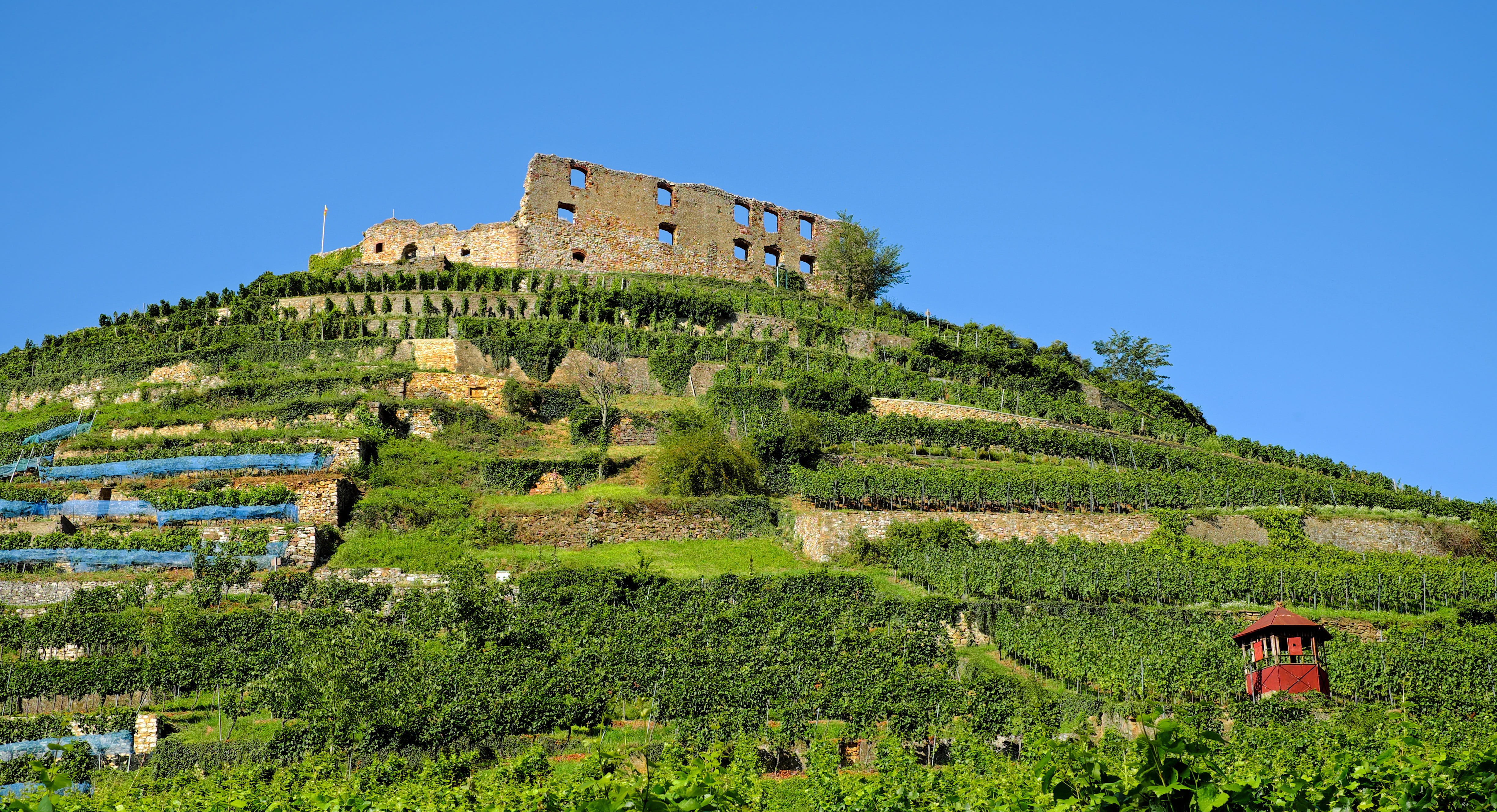 burgruine, travel destinations, castle, landscape, photo, no people, field, sky, growth, masonry, travel, staufen, markgräflerland, green color, past, destroyed, HD Wallpaper