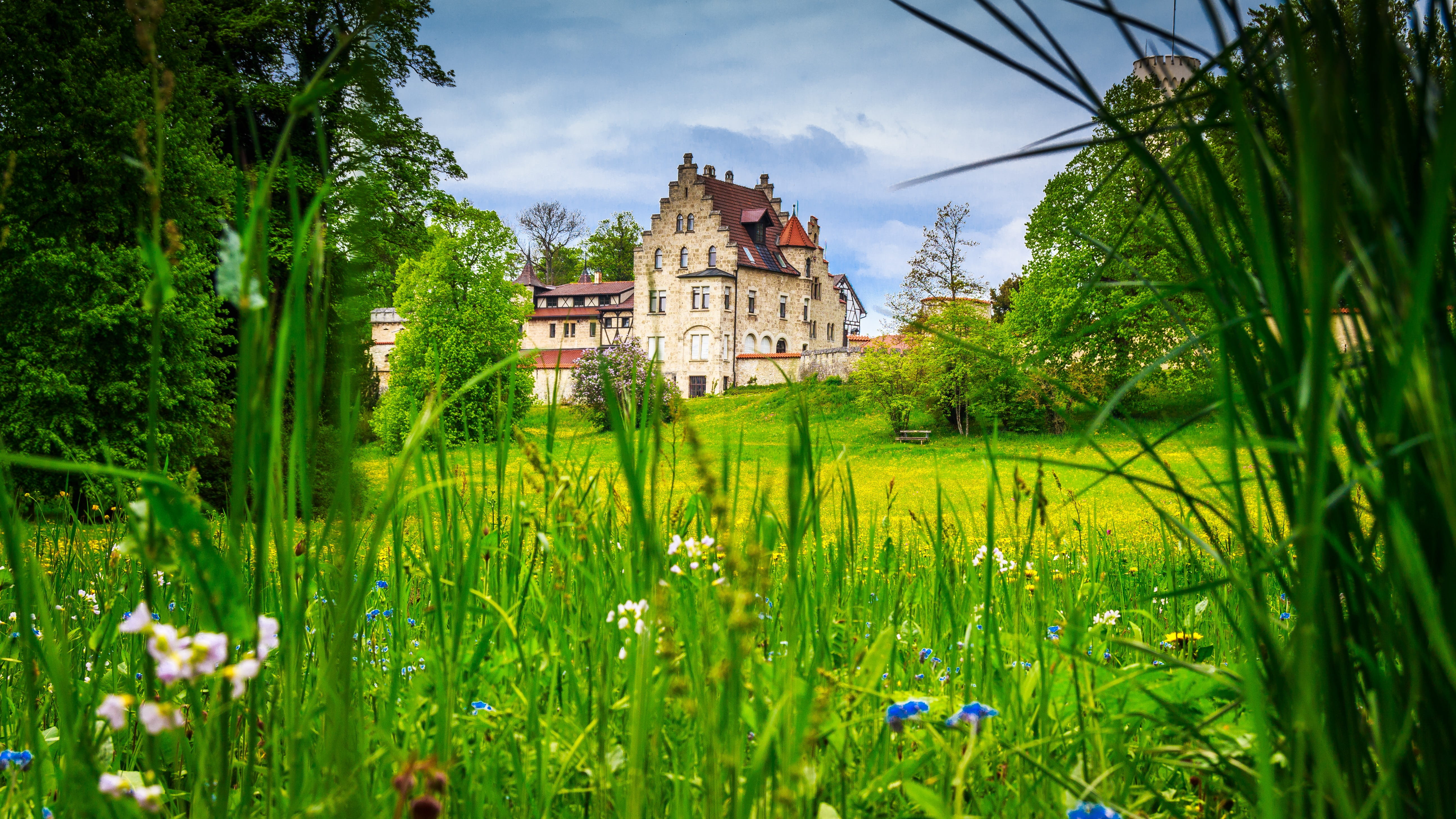 ruin, royal, beauty in nature, residential district, sky, on the ground, grass, nature, lake, built structure, baden württemberg, burg lichtenstein, day, HD Wallpaper