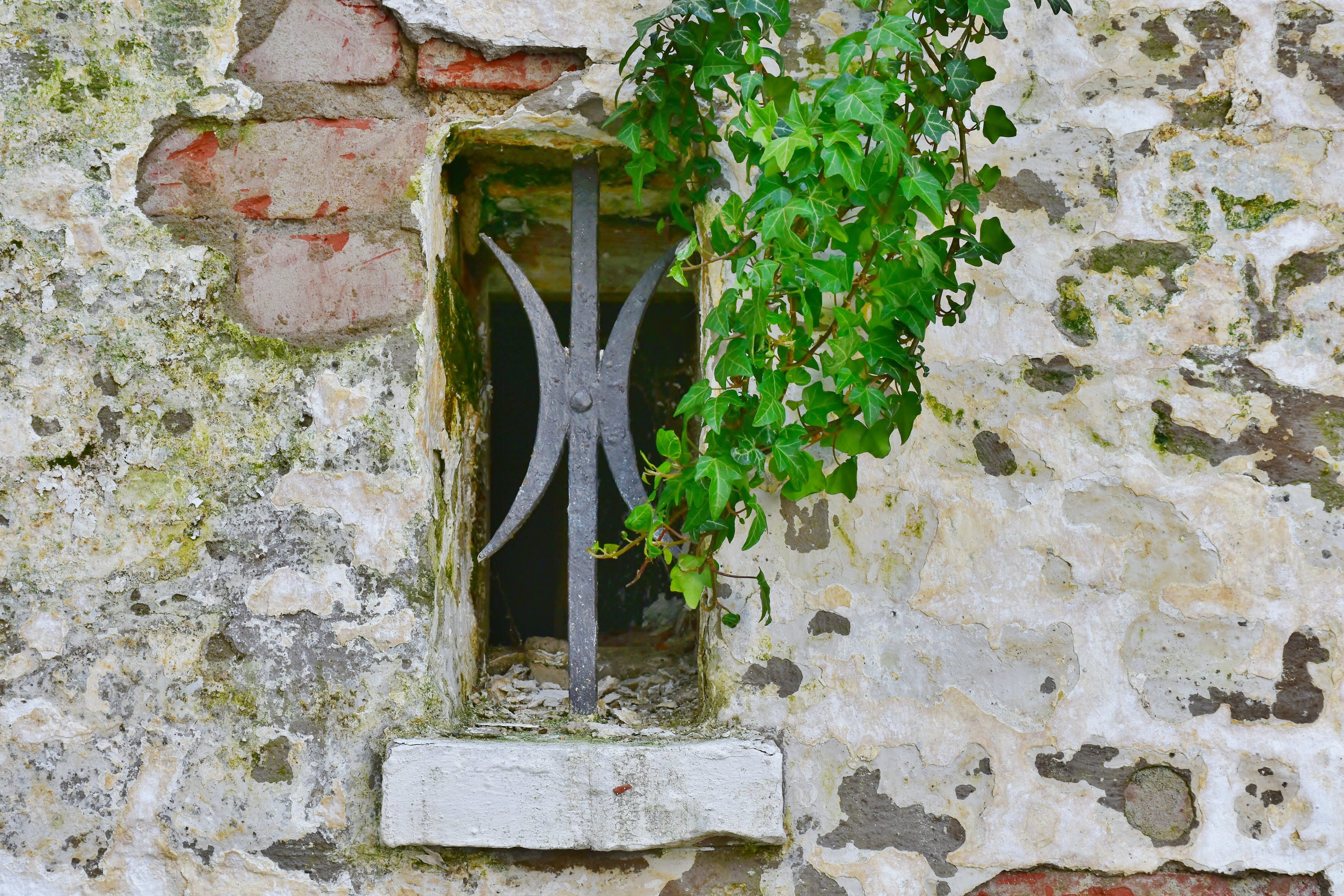 5K, wall, beside, hole, outlook, day, black, ruin, architecture, no people, burgruine, structure, weathered, vault, stone wall, plant, opening, green, HD Wallpaper
