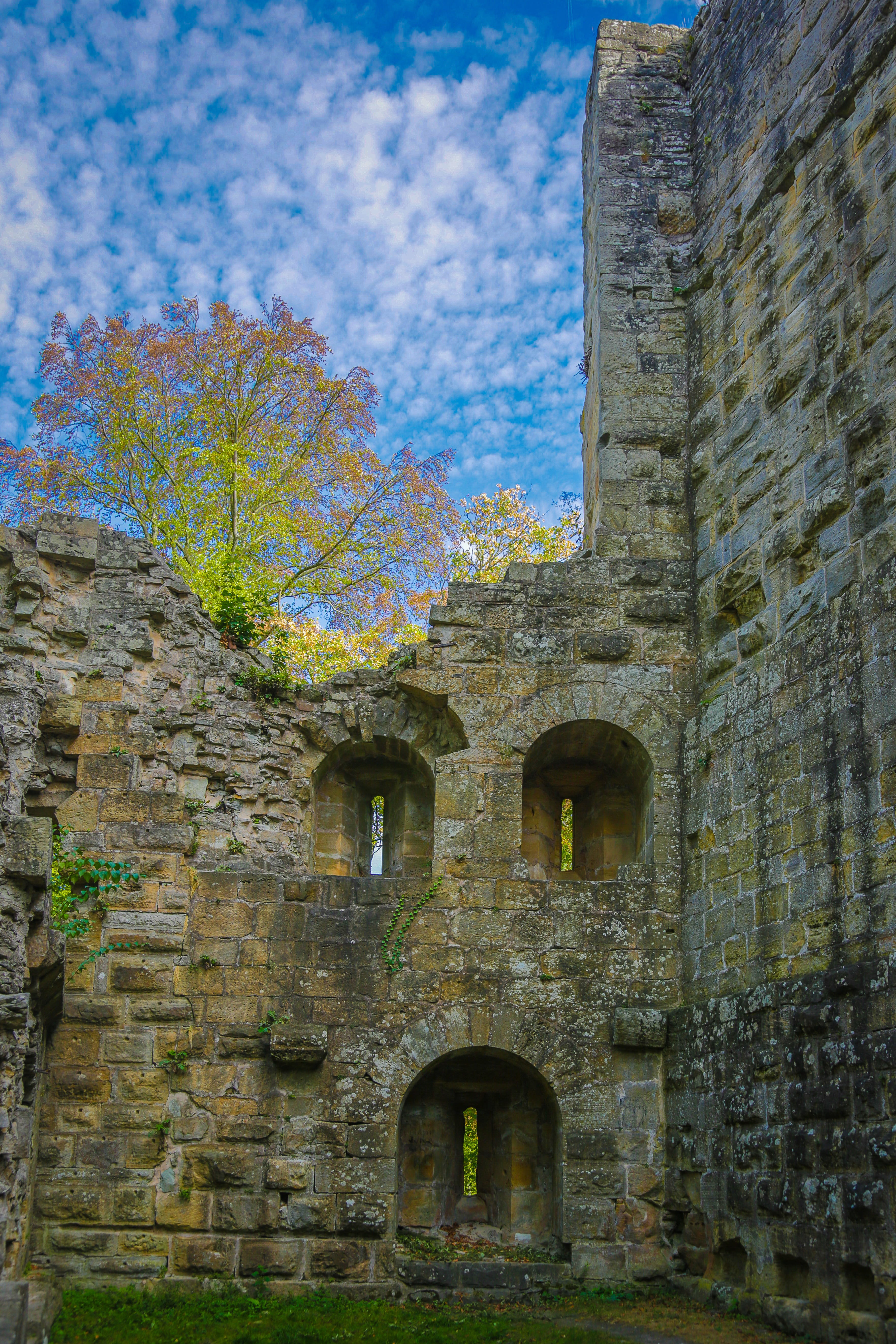 nature, tree, no people, fortress, blankenhorn, cloud - sky, knights castle, abandoned, 5K, burgruine, day, ancient civilization, deterioration, history, Phone HD Wallpaper