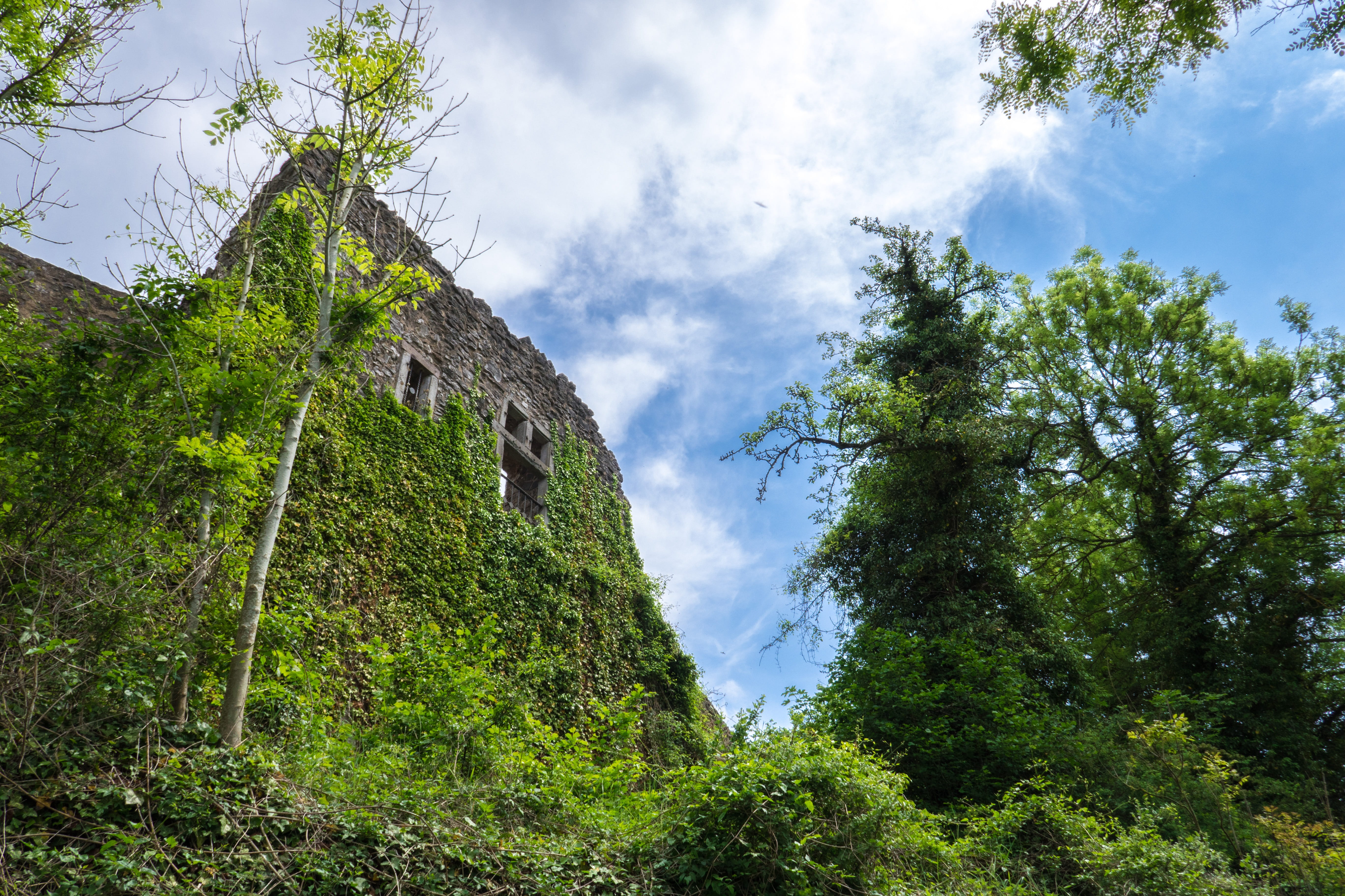 sky, ruin, 5K, scenics - nature, green color, tree, tranquility, beauty in nature, stone wall, mountain, plant, forest, no people, nature, cloud - sky, HD Wallpaper