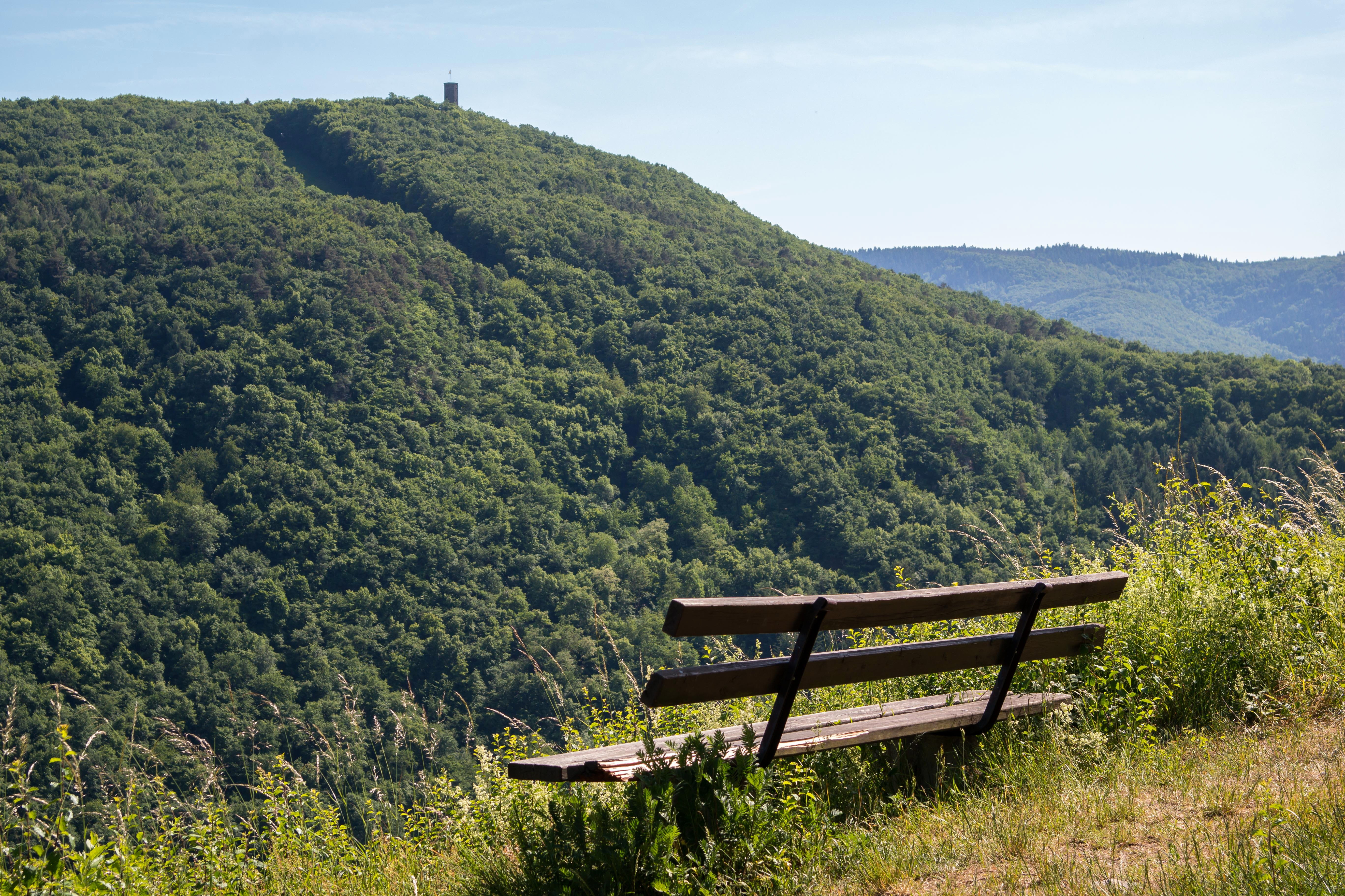 recovery, 5K, ruin, viewpoint, vision, nature, landscape, mountains, germany, outlook, tree, seat, panorama, land, sit, tranquility, burgruine, castle kraus, HD Wallpaper