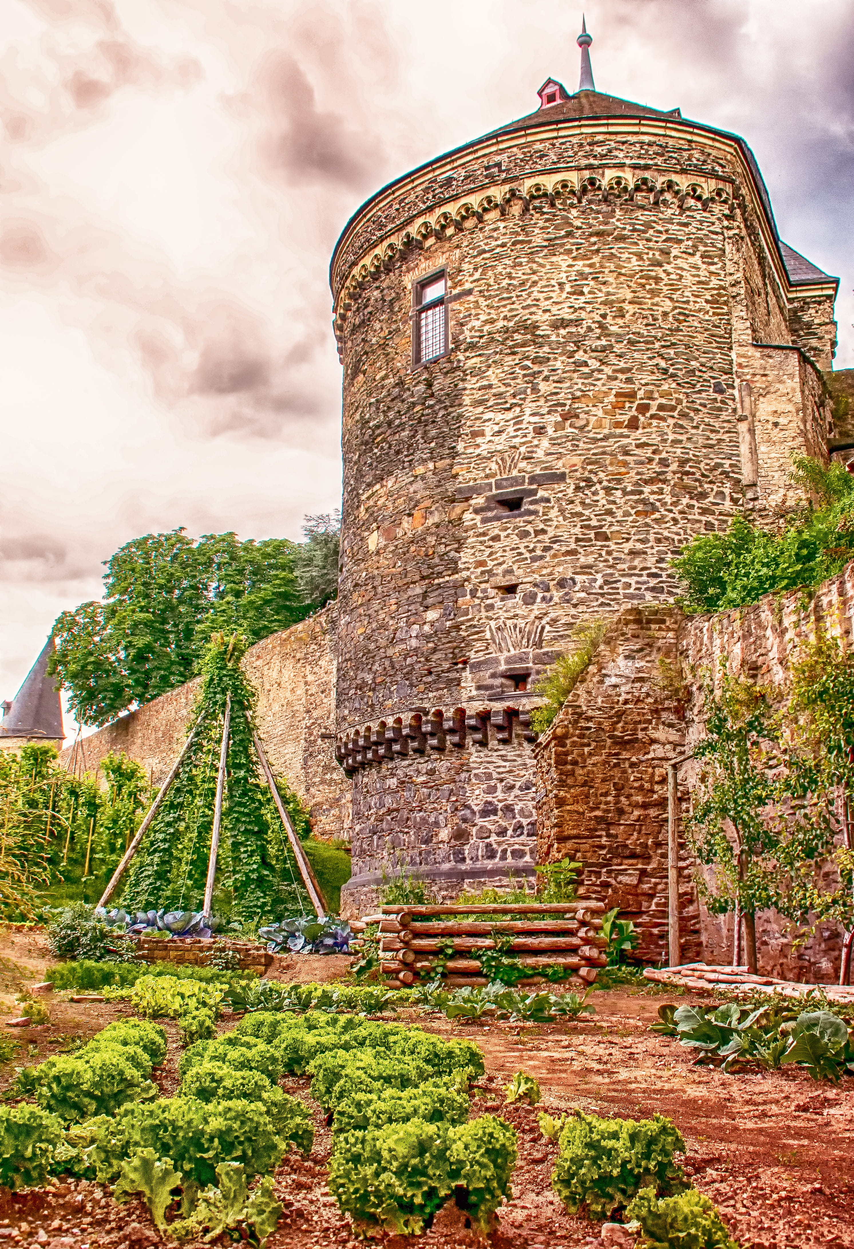 nature, building, andernach, culture, plant, stone, the past, tourism, city wall, history, landscape, edible city, place of worship, religion, day, salad, Phone HD Wallpaper
