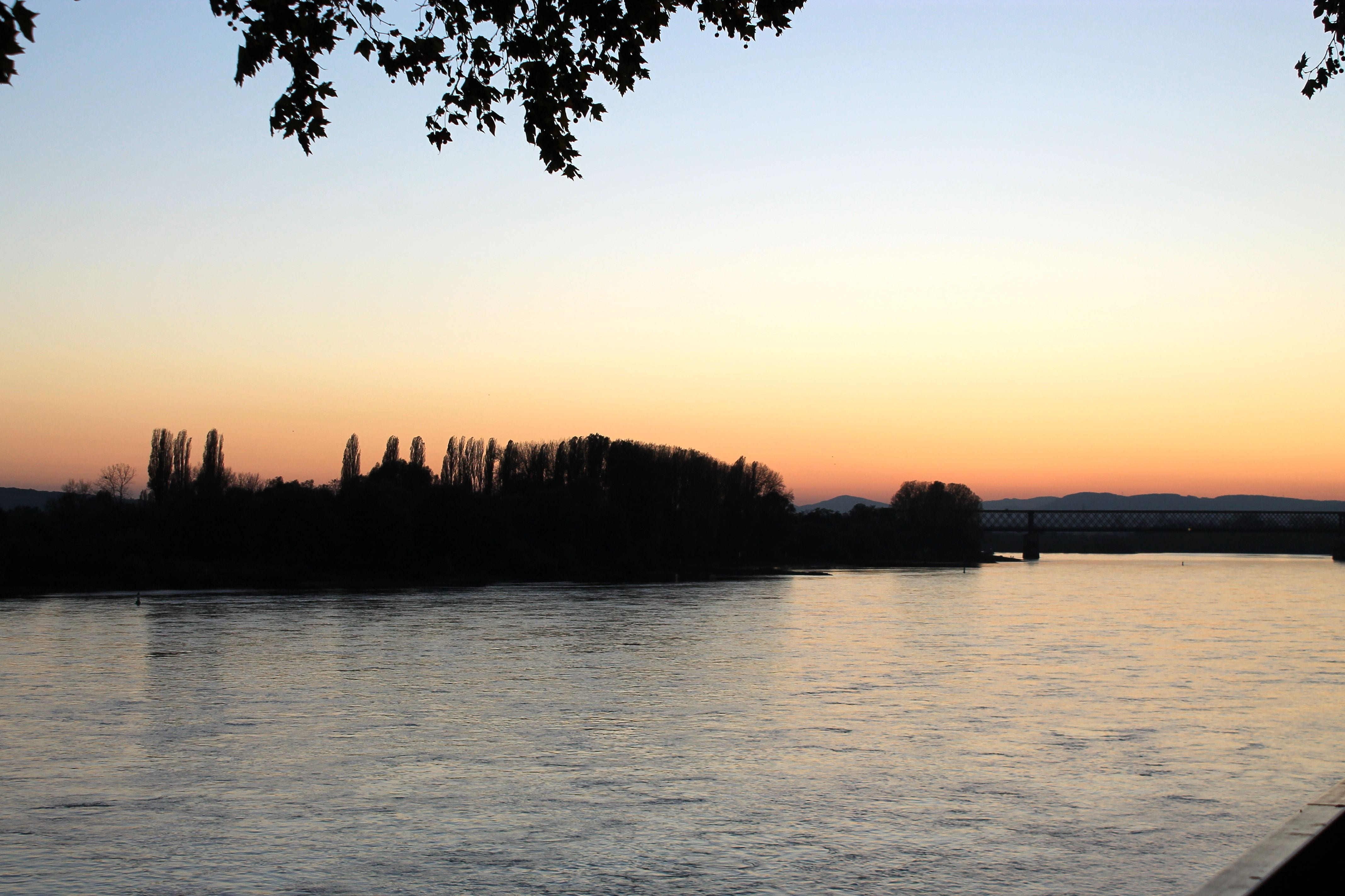 tranquility, idyllic, nature, non-urban scene, plant, abendstimmung, no people, sky, beauty in nature, river, rhine, romance of the rhine, lake, silhouette, HD Wallpaper