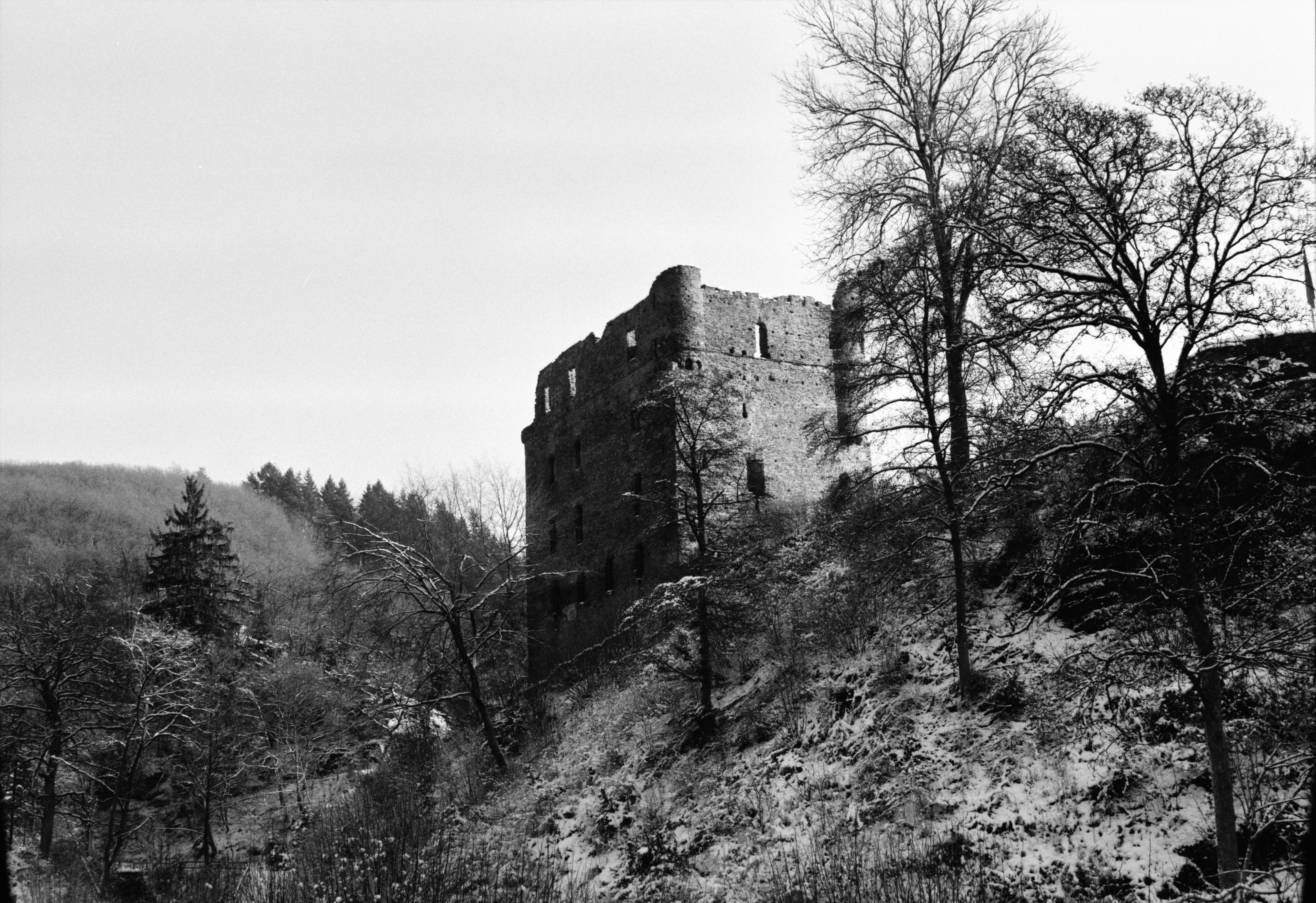 old, abandoned, no people, tree, hunsrück, sky, built structure, building, nature, old ruin, the past, plant, low angle view, ruined, old-fashioned, outdoors, HD Wallpaper