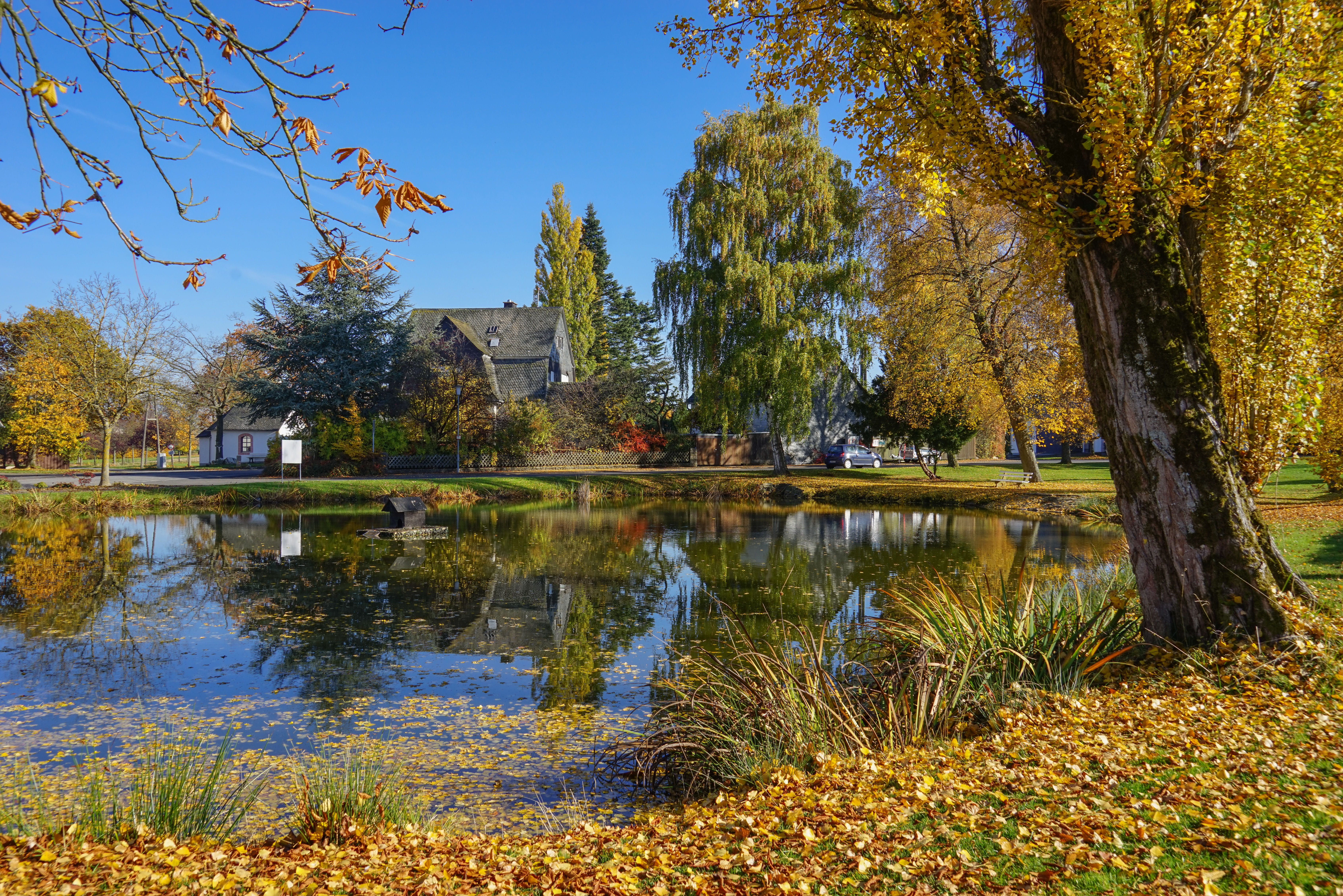 scenics - nature, mirroring, day, golden october, autumn, change, tree, sky, no people, tranquil scene, pond, plant, water, outdoors, fall color, lake, HD Wallpaper