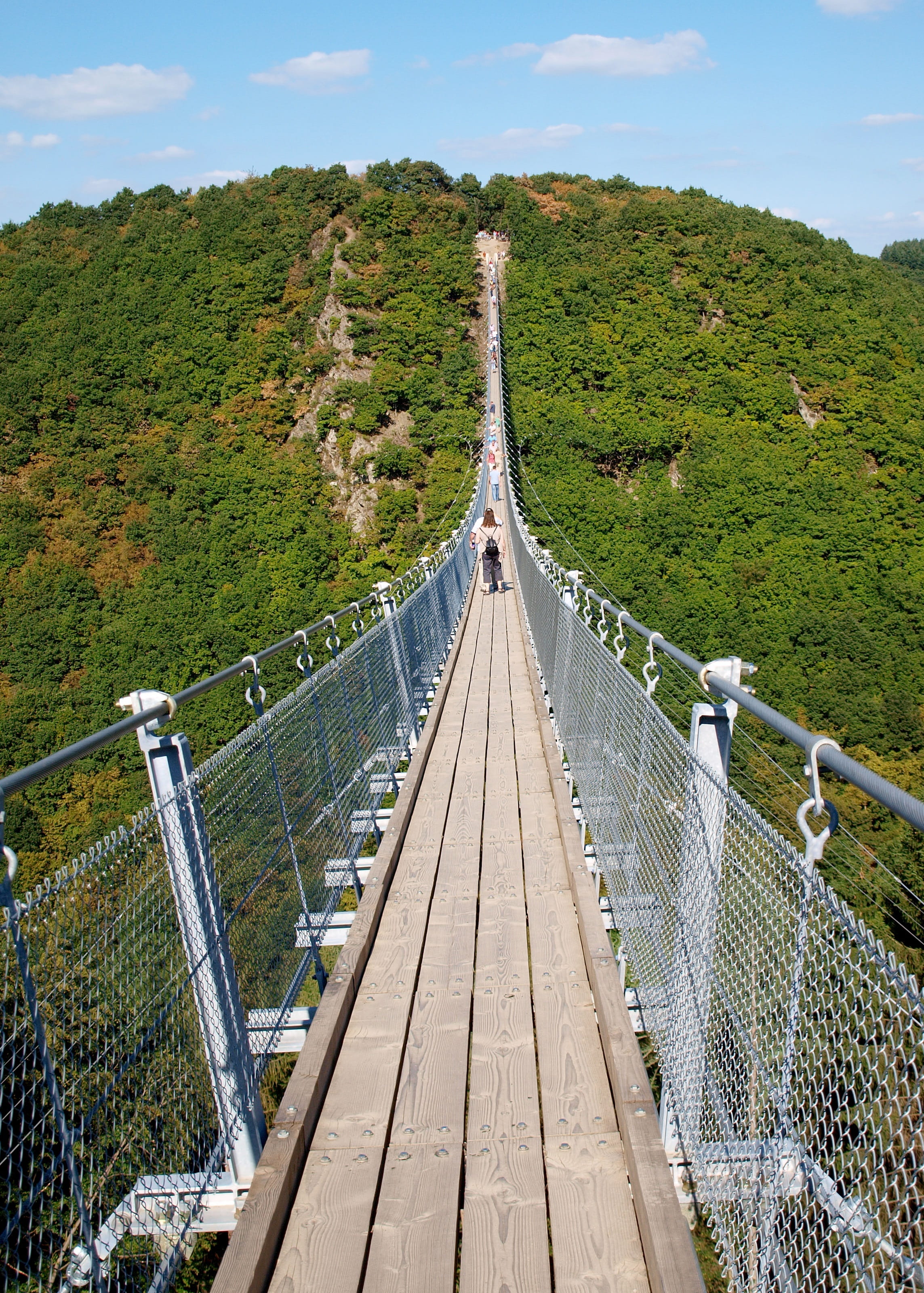 suspension bridge, geierlay, pedestrian, hunsrück, non-urban scene, 2K, footbridge, architecture, the way forward, connection, tree, steel cables, outdoors, Phone HD Wallpaper