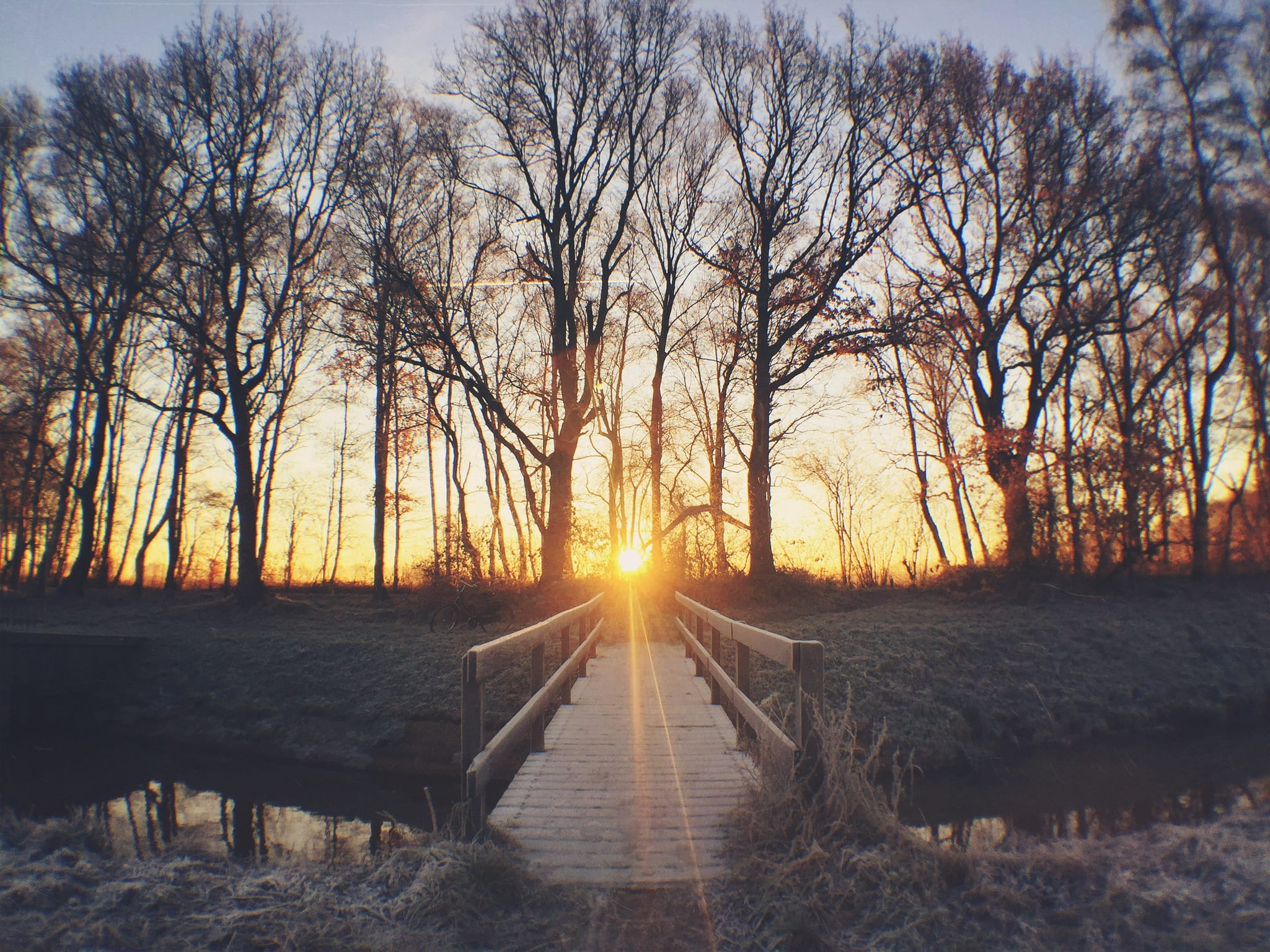 bare tree, frozen, no people, sunset, westerbork, land, forest, sunshine, fog, open, non-urban scene, tree, lens flare, snow, diminishing perspective, sunray, HD Wallpaper