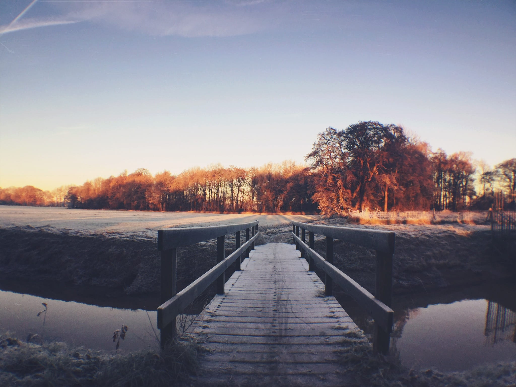 the way forward, westerbork, nature, trees, sky, netherlands, outdoors, no people, winter, clear, tranquility, land, non-urban scene, beauty in nature, HD Wallpaper