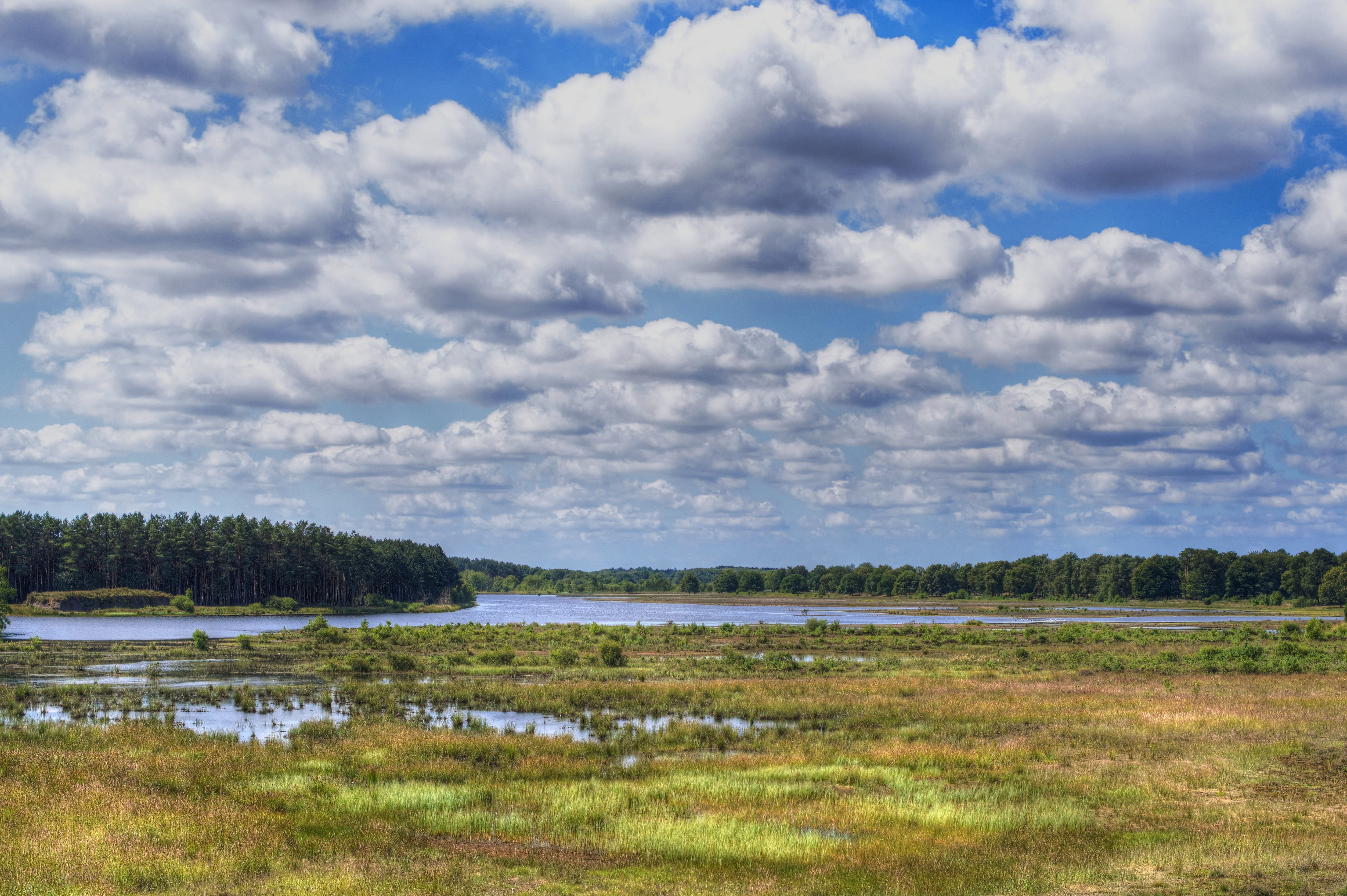 netherlands, sky, nature, countryside, tranquility, tranquil scene, swamp, water, sea, tree, clouds, cloudscape, non-urban scene, day, plant, hdr, land, HD Wallpaper