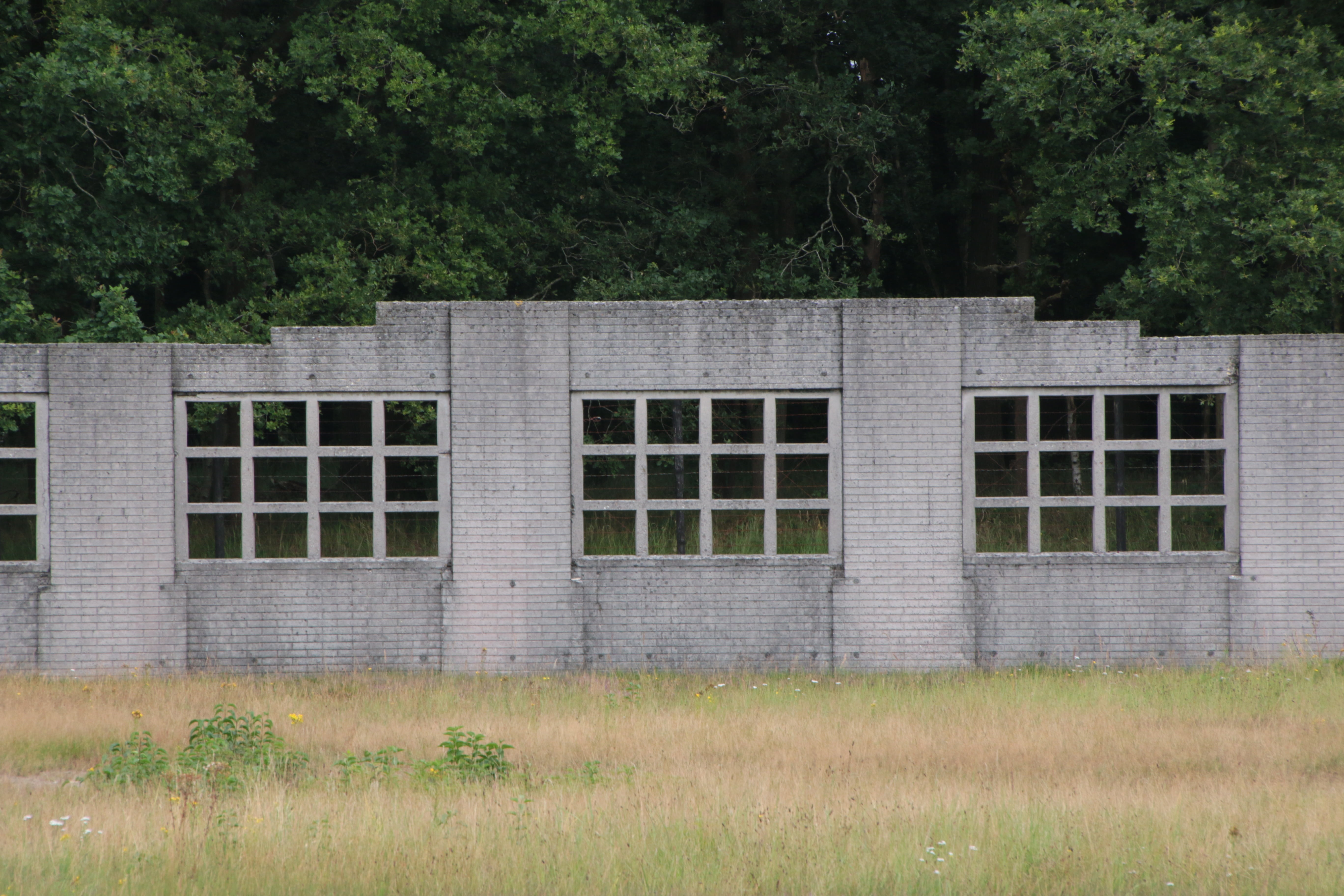 house, barrier, day, tree, no people, drenthe, plant, land, security, building, architecture, built structure, building exterior, growth, ruins, old times, HD Wallpaper