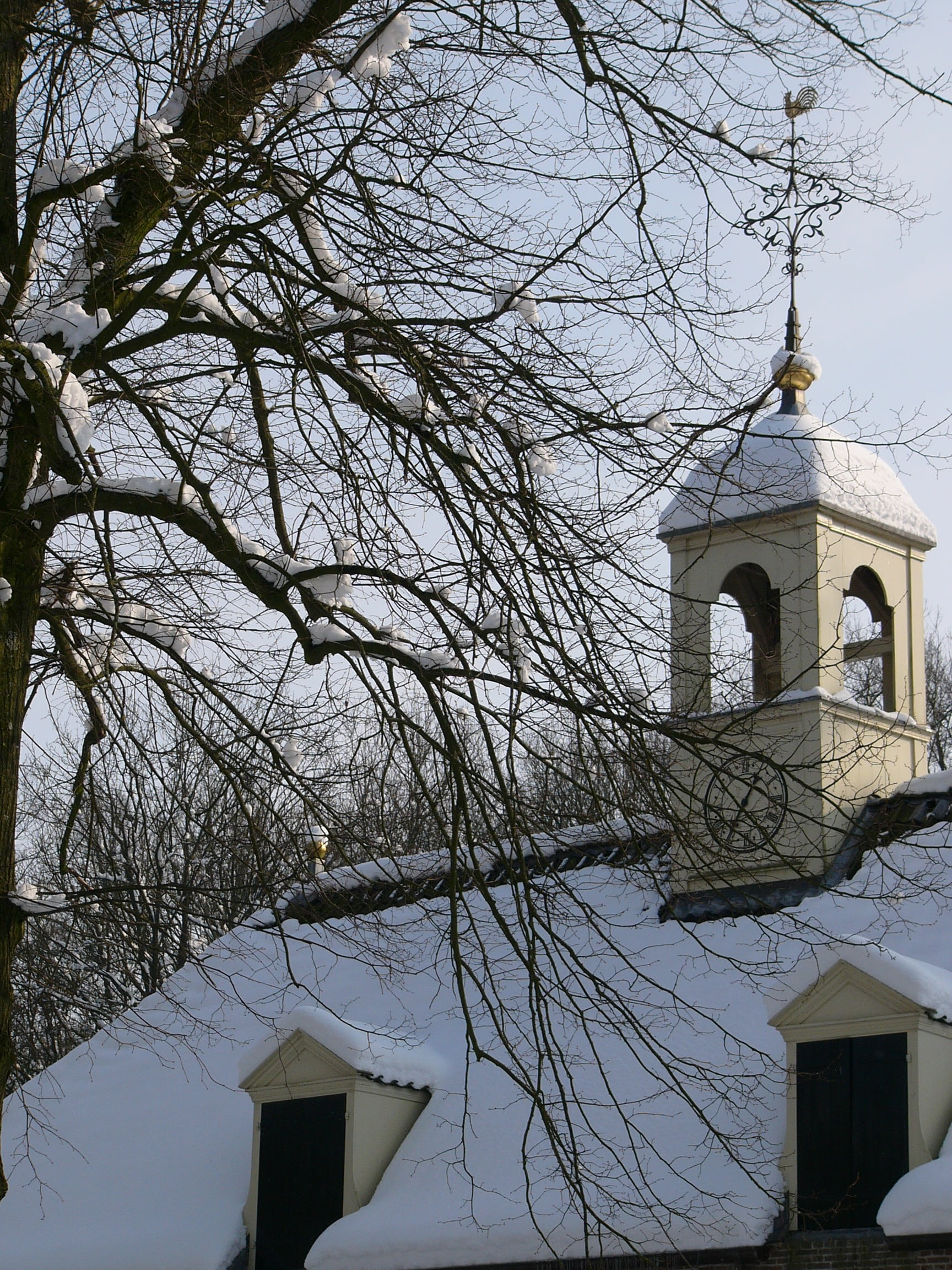branch, ze, belief, christianity, cross, plant, frost, snow, zing, no people, architecture, december, outdoors, snowy, nature, building, low angle view, Phone HD Wallpaper