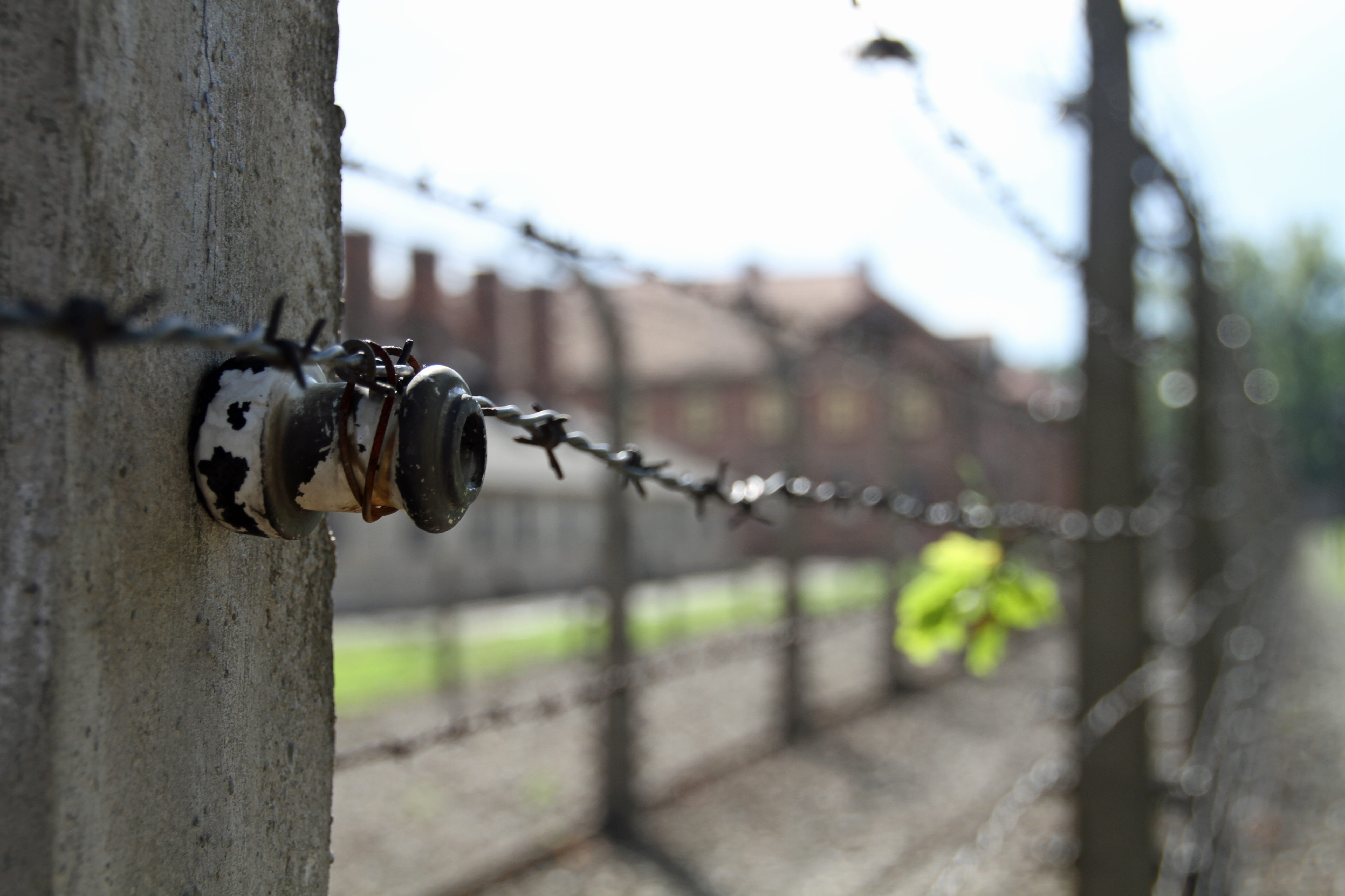 outdoors, plant, security, camp, poland, protection, safety, no people, architecture, barbed wire, day, war, built structure, boundary, focus on foreground, HD Wallpaper