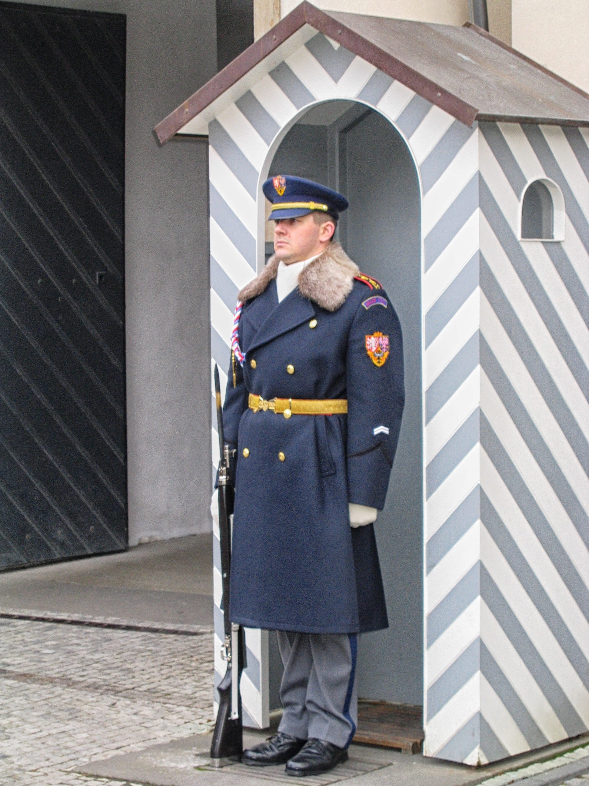 Soldier, uniform, leisure activity, front view, males, palace, adult, clothing, government, Monitor, standing, wait are, only men, 2K, one man only, wait, Phone HD Wallpaper