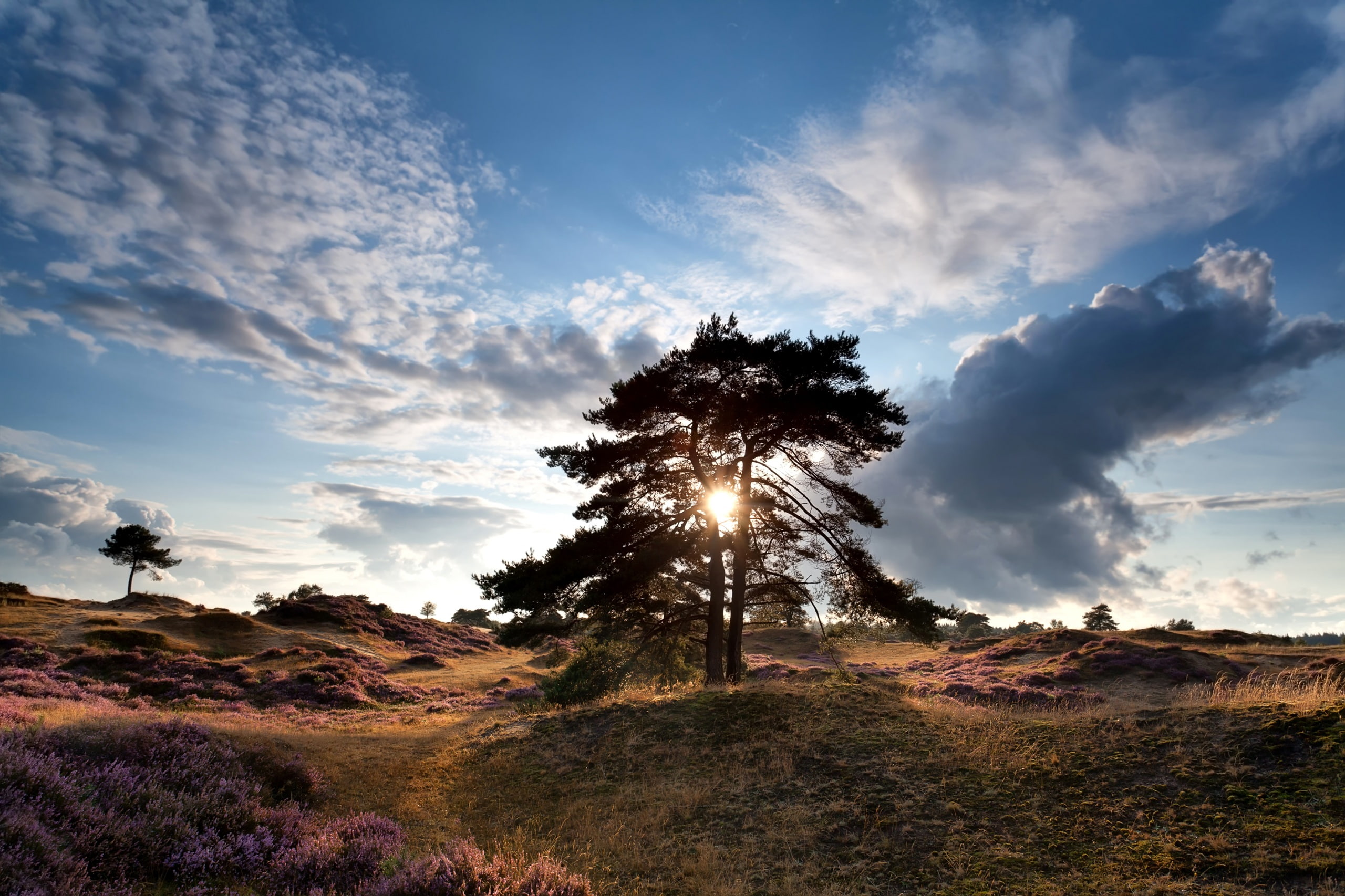 netherlands, and, drenthe, 2K, sky, hill, sunsets, sunrises, HD Wallpaper