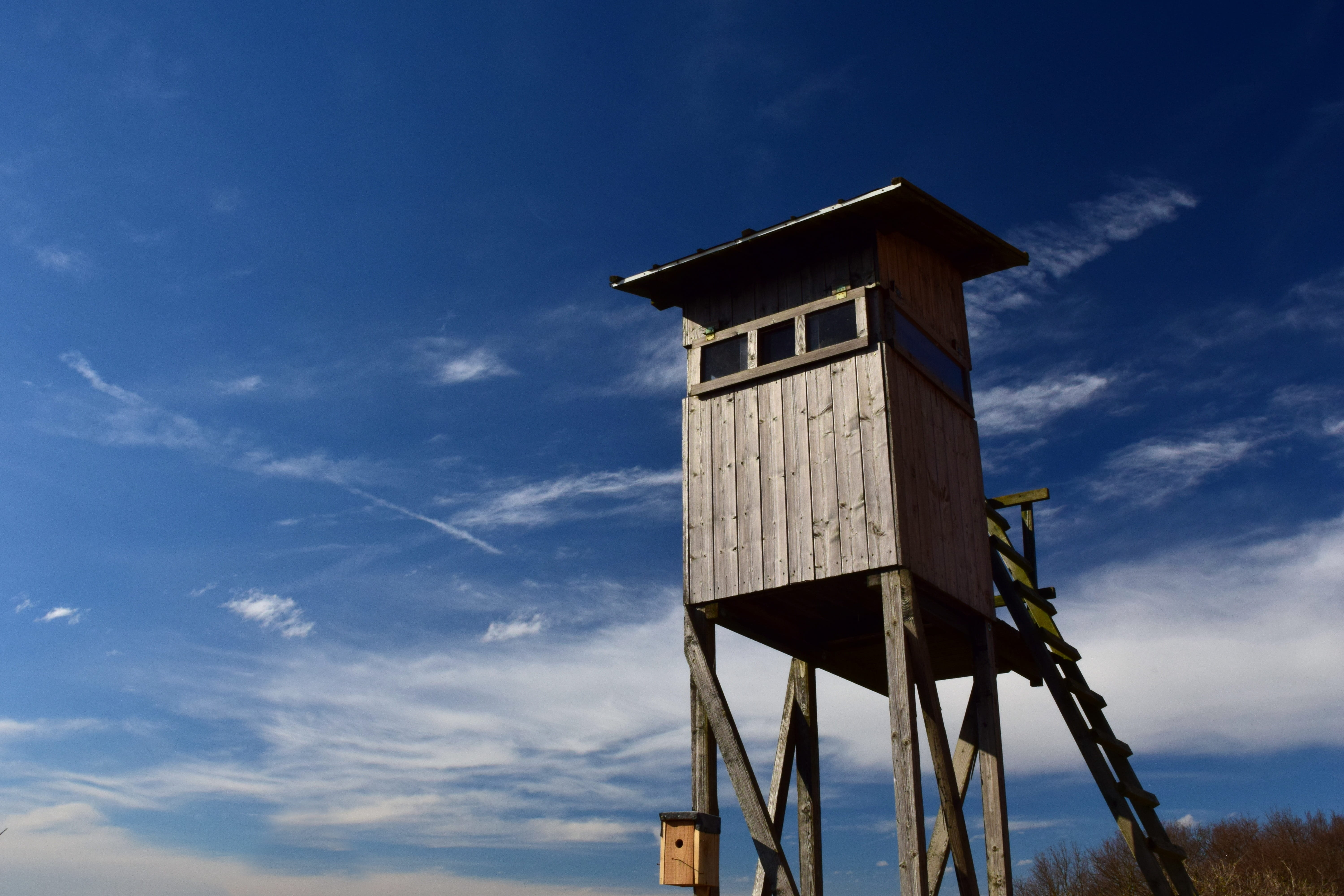hunts, view, built structure, privacy, cloud - sky, ansitz, wood - material, sunlight, aviary, clouds, observation point, 5K, day, wood, outdoors, security, HD Wallpaper