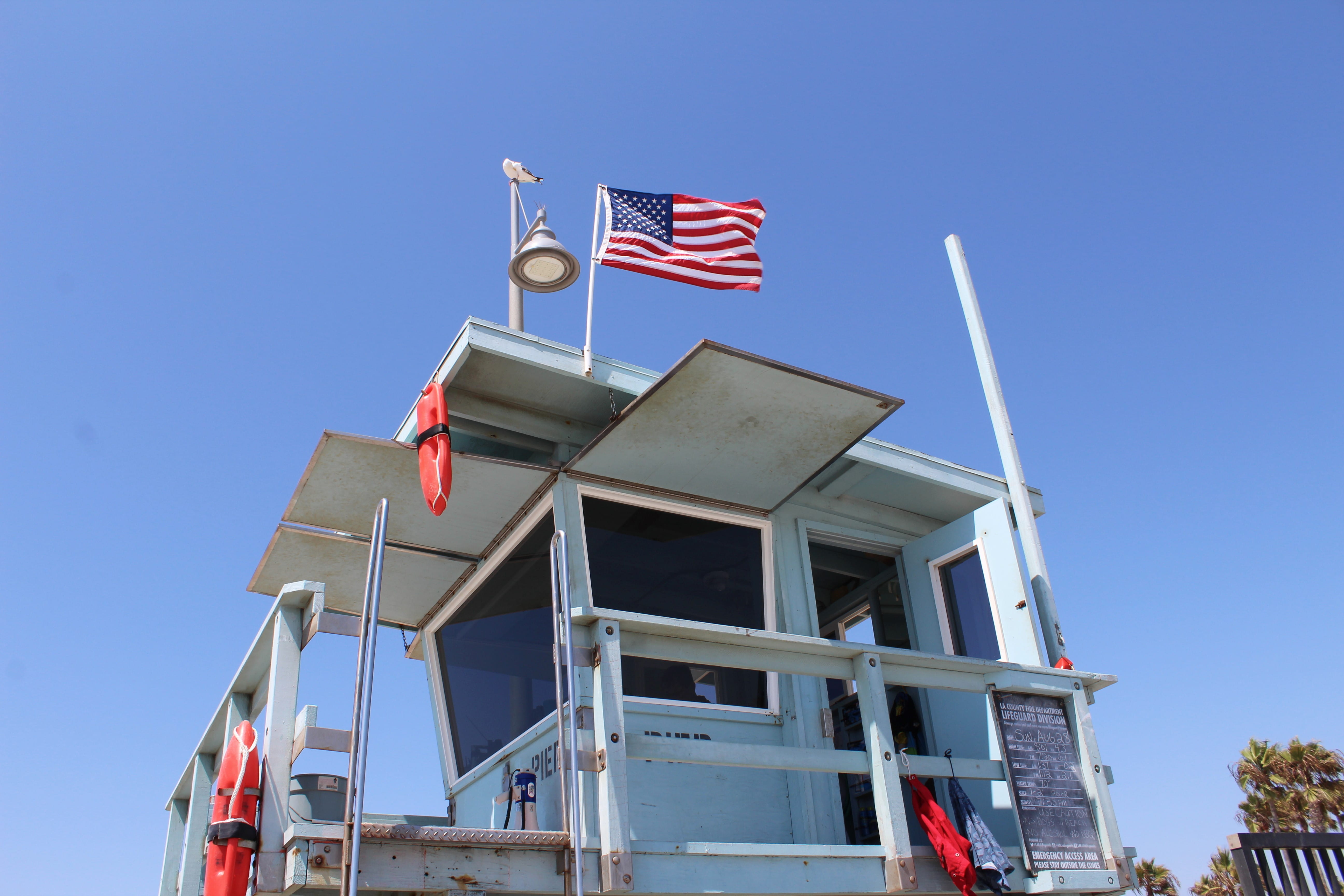 nature, los angeles, national icon, lifeguard, venice beach, built structure, sky, no people, 5K, lifeguard hut, seagull, american, building, patriotism, HD Wallpaper
