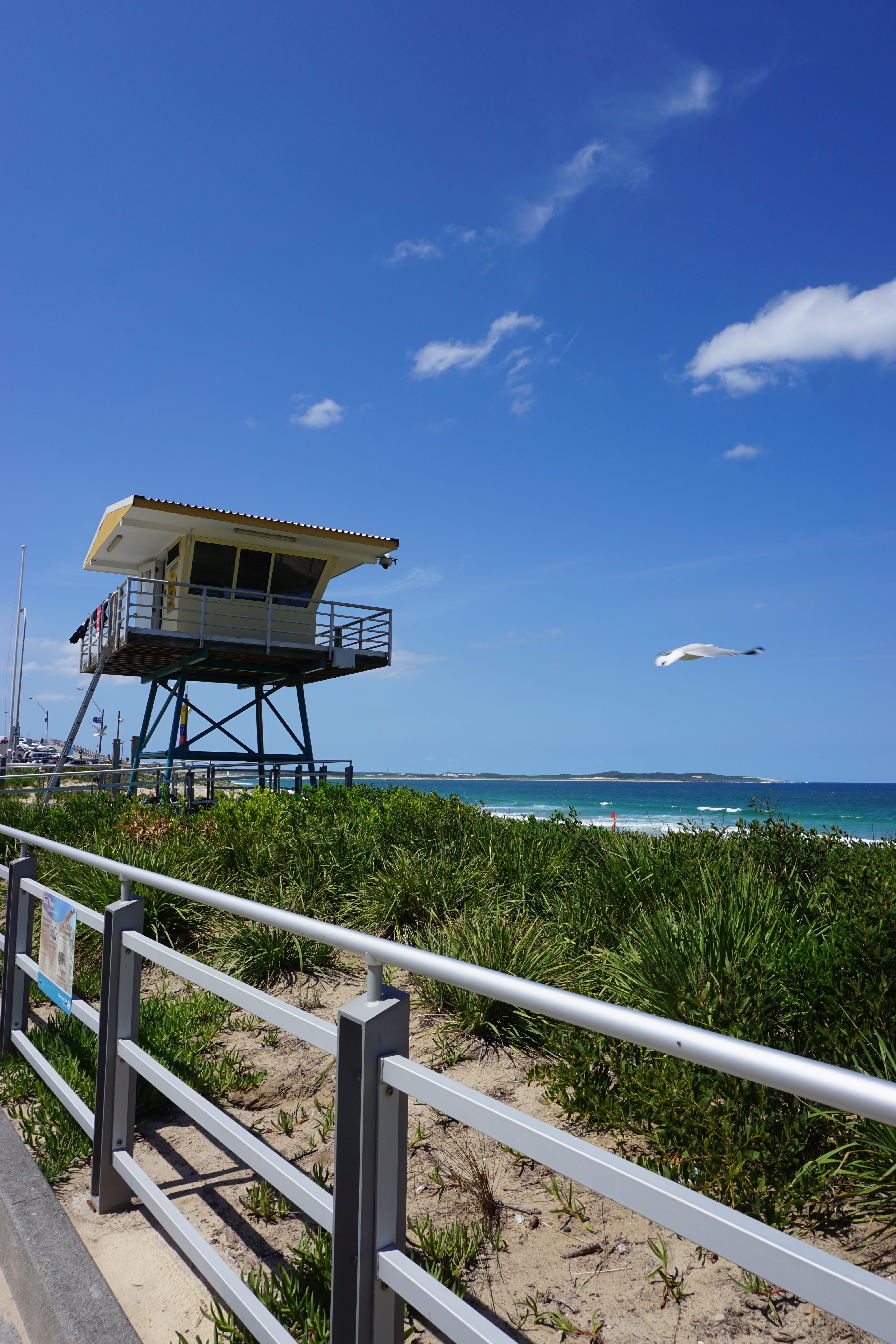 building exterior, horizon, Beach, lifeguard hut, no people, australia, scenics - nature, built structure, horizon over water, House, water, day, sky, Cronulla, Phone HD Wallpaper
