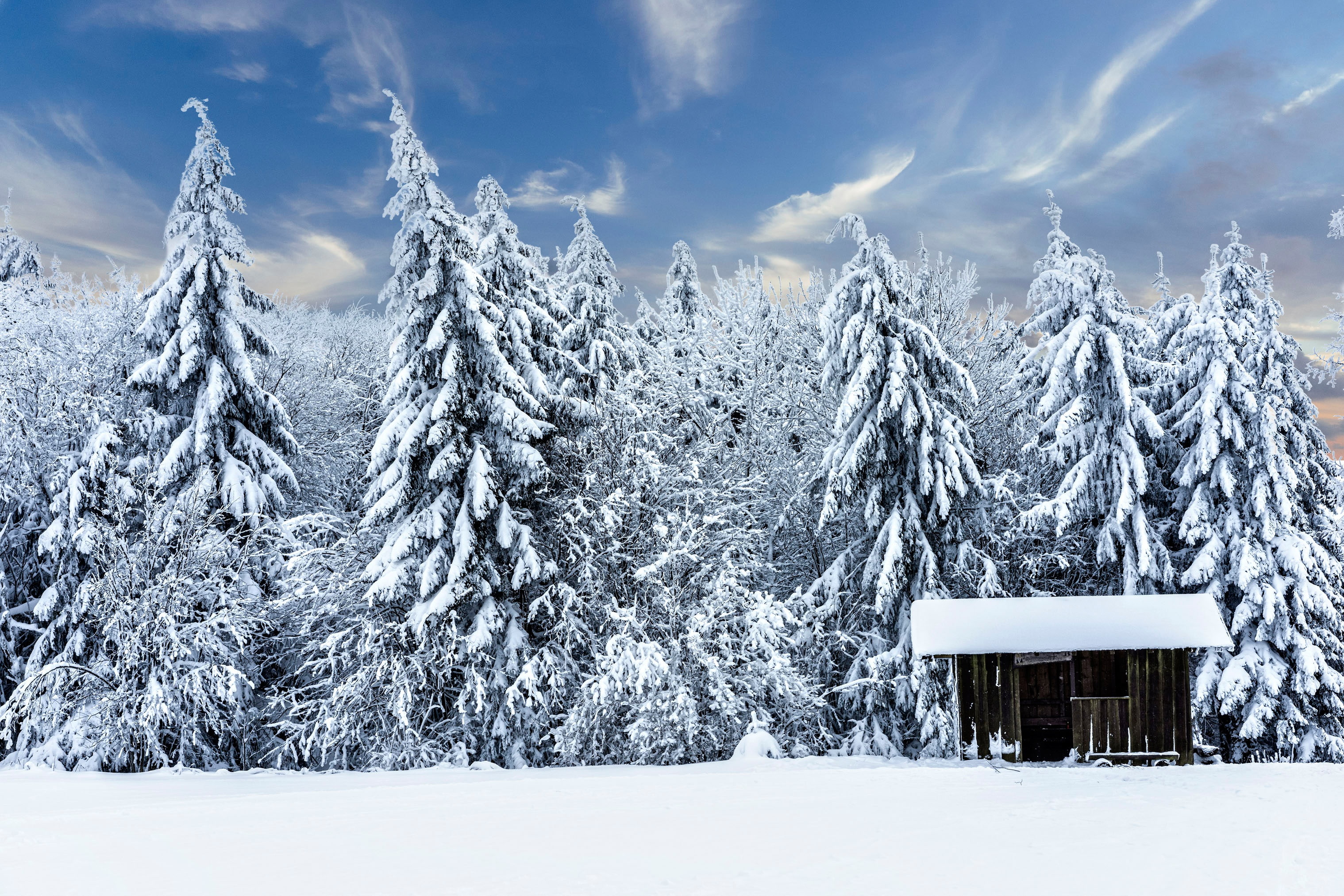 house, forest, winter, ate, snow, Germany, Thuringia, Schmalkalden-Meiningen, hut, 2K, HD Wallpaper