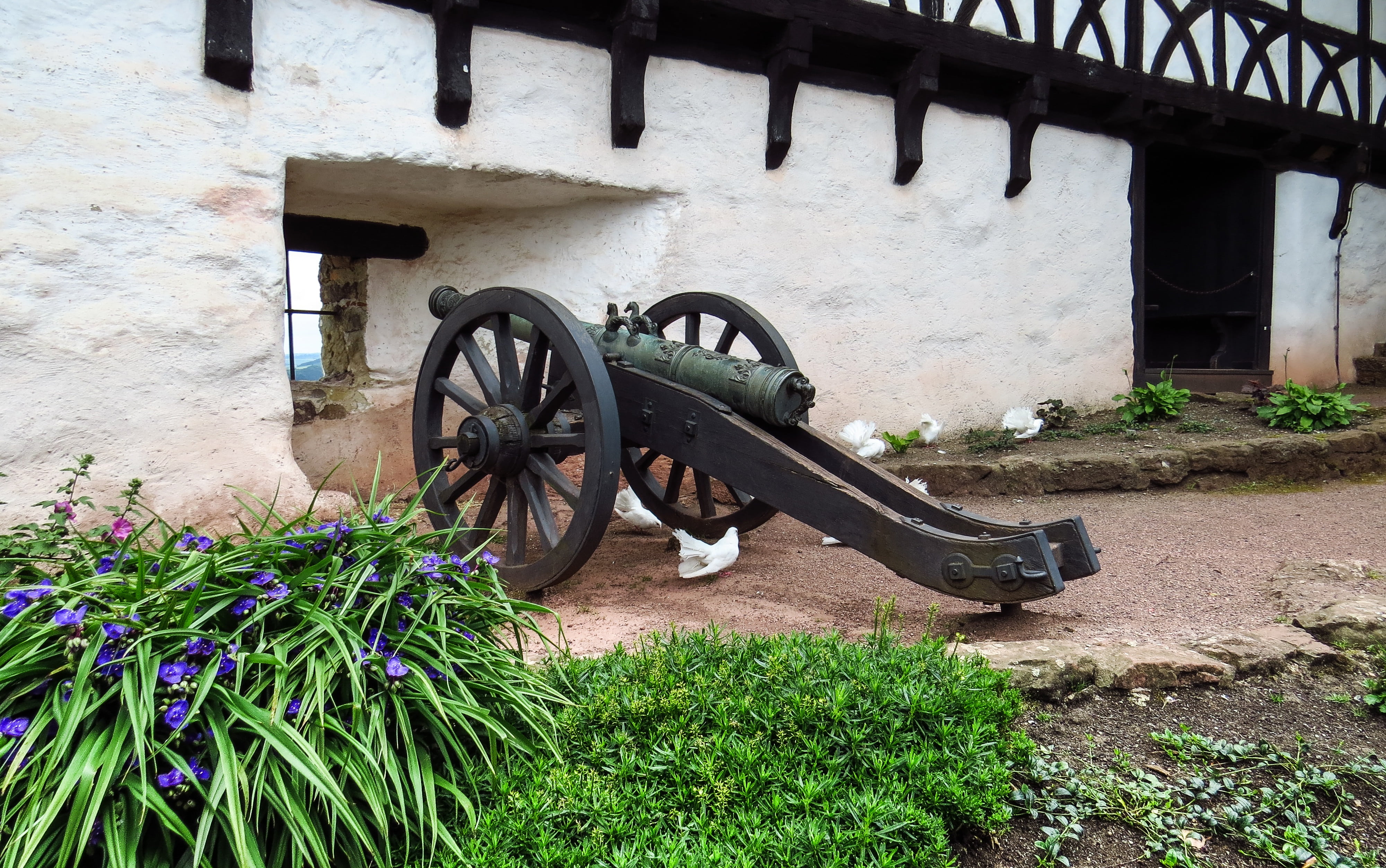 wheel, eisenach, pigeons, grass, wall, 4K, tire, old, built structure, mode of transportation, wood - material, growth, outdoors, flower, architecture, HD Wallpaper