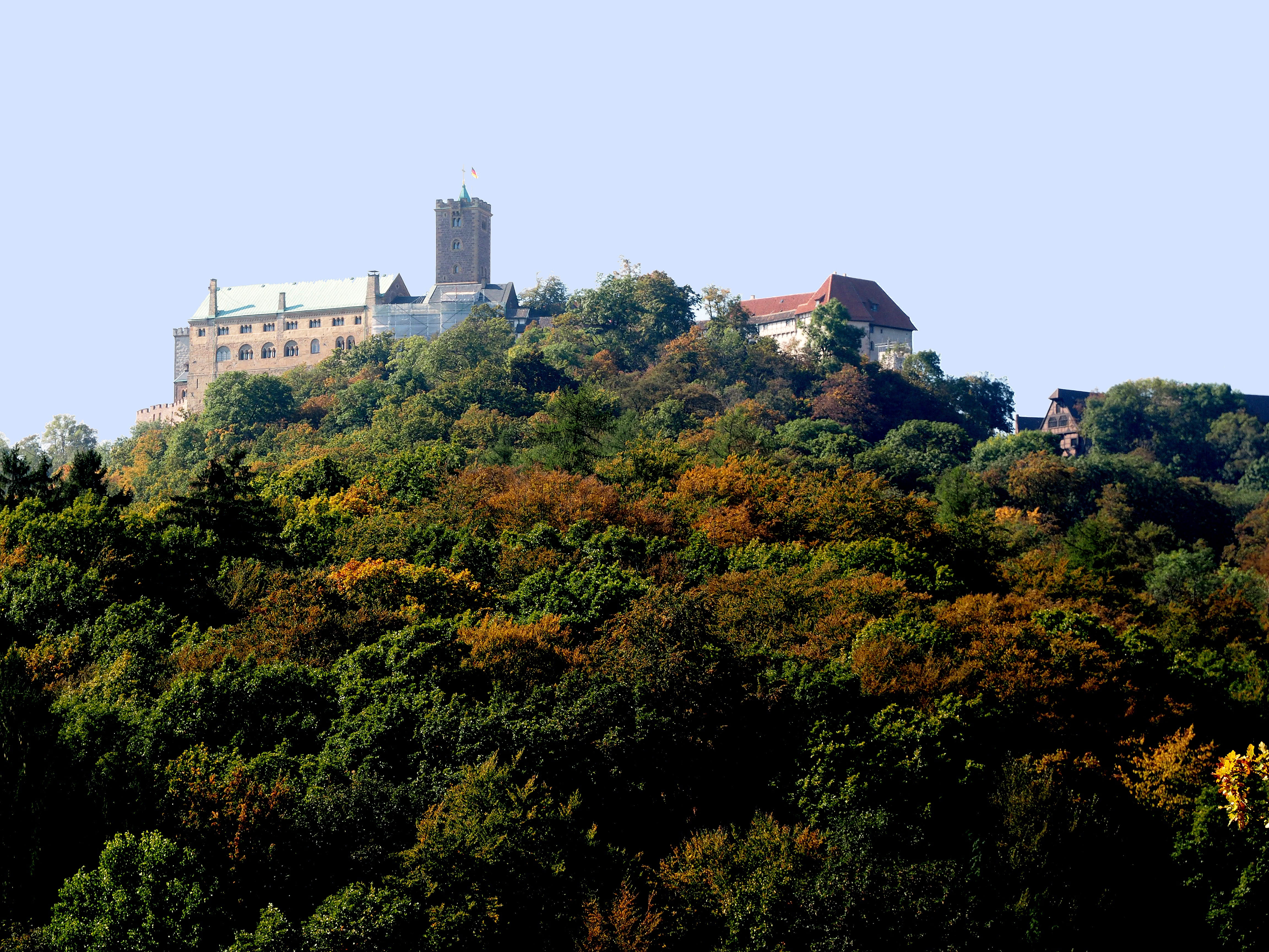 nature, 4K, day, growth, sky, blue, Luther, plant, architecture, green color, city, castle, built structure, outdoors, Wartburg Castle, building exterior, HD Wallpaper