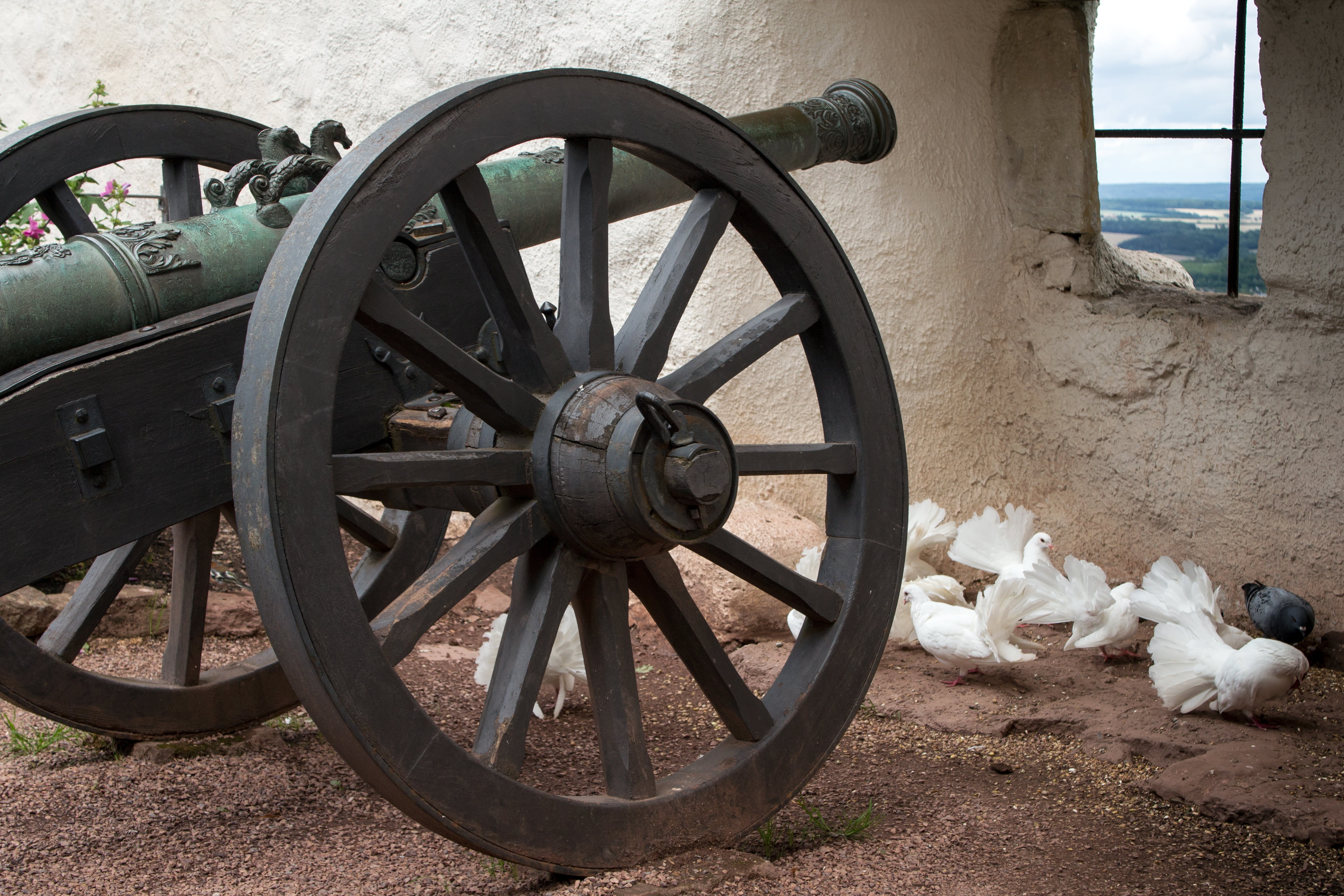 wagon wheel, field, no people, weapon, transportation, metal, cart, day, outdoors, mode of transportation, 4K, pigeons, eisenach, land, history, cannon, HD Wallpaper