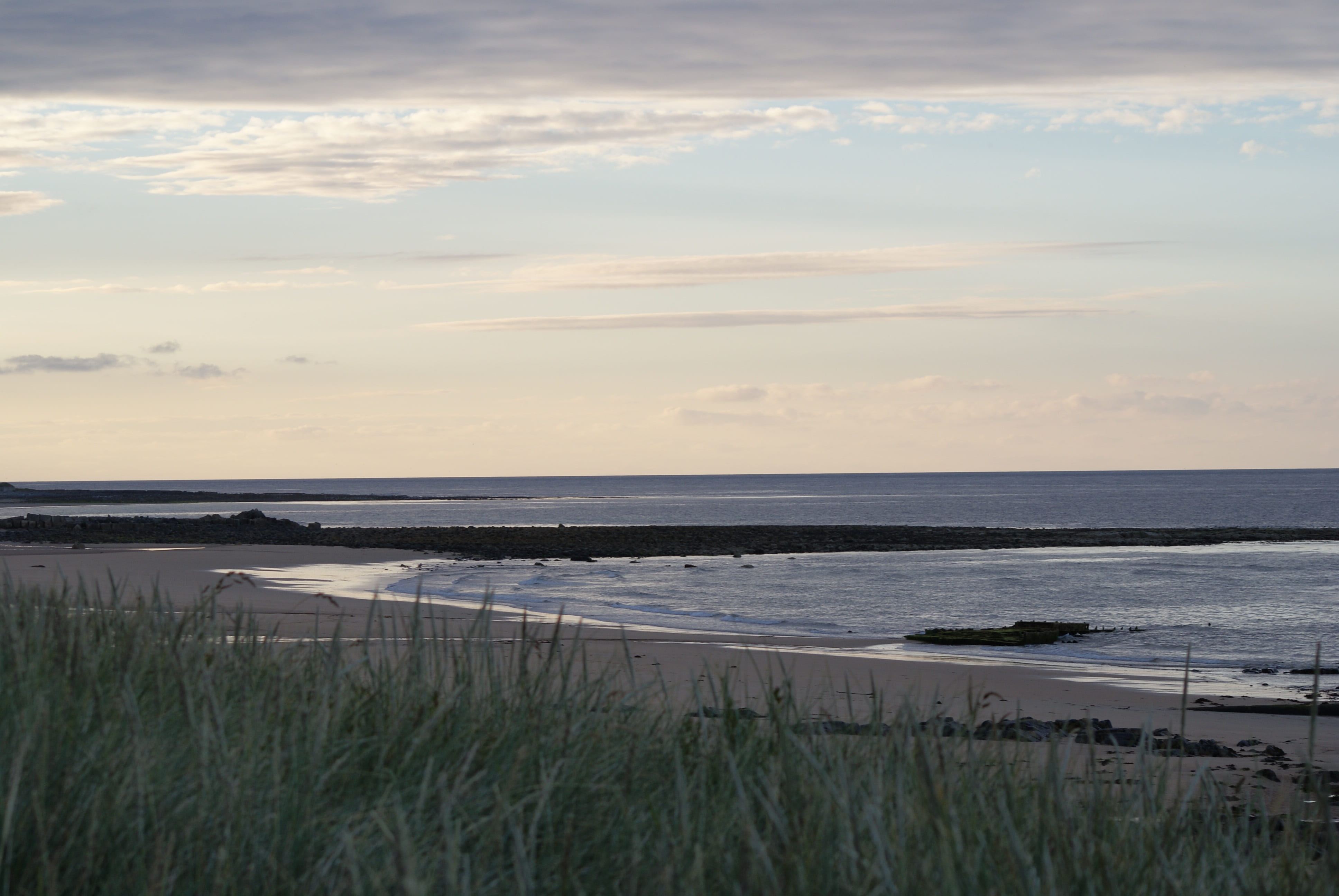 sky, horizon, no people, non-urban scene, sunset, sea, idyllic, plant, nature, land, fraserburgh, beach, horizon over water, marram grass, 4K, water, beauty in nature, HD Wallpaper
