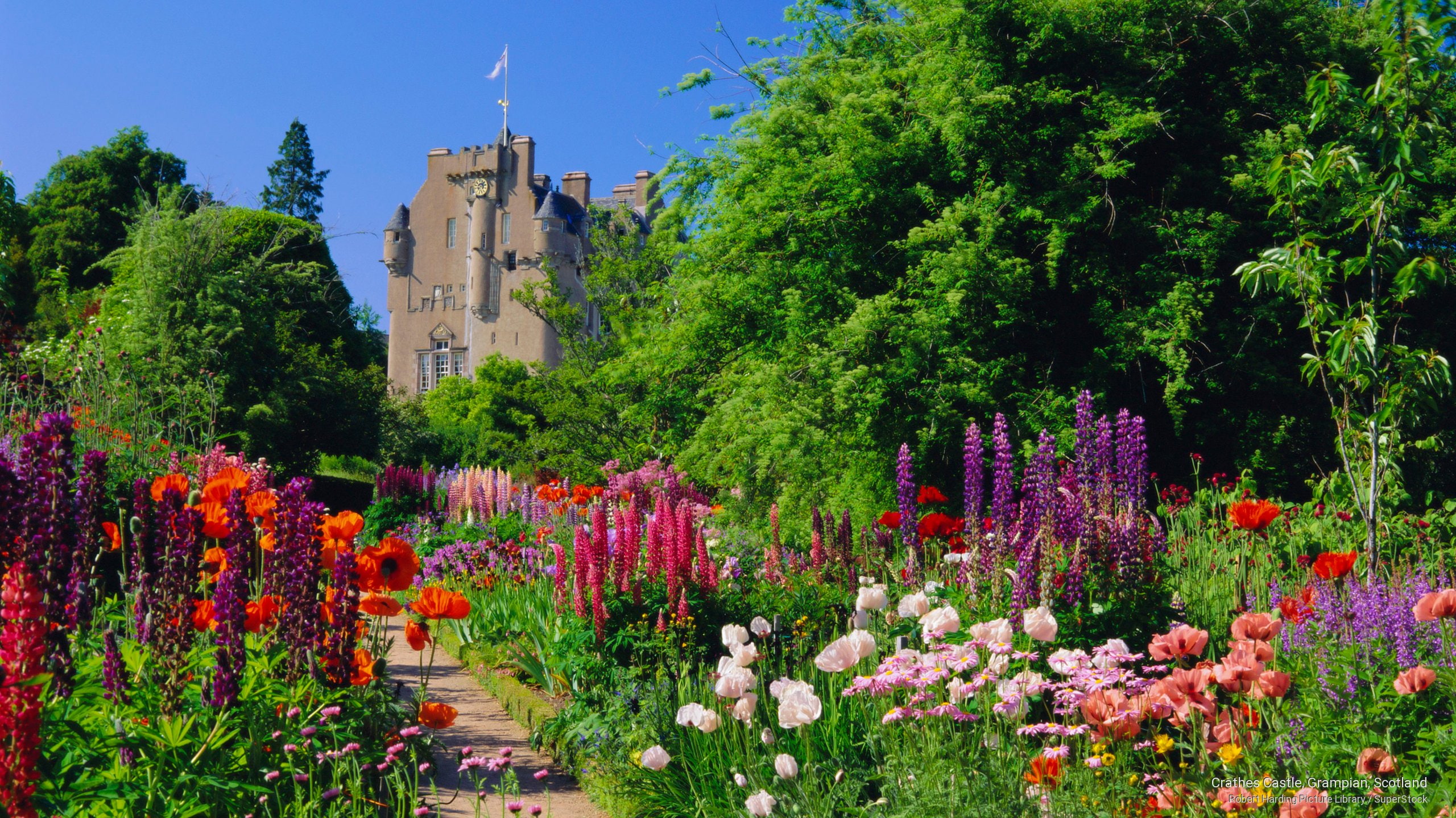 crathes, castle, 2K, scotland, Architecture, grampian, HD Wallpaper