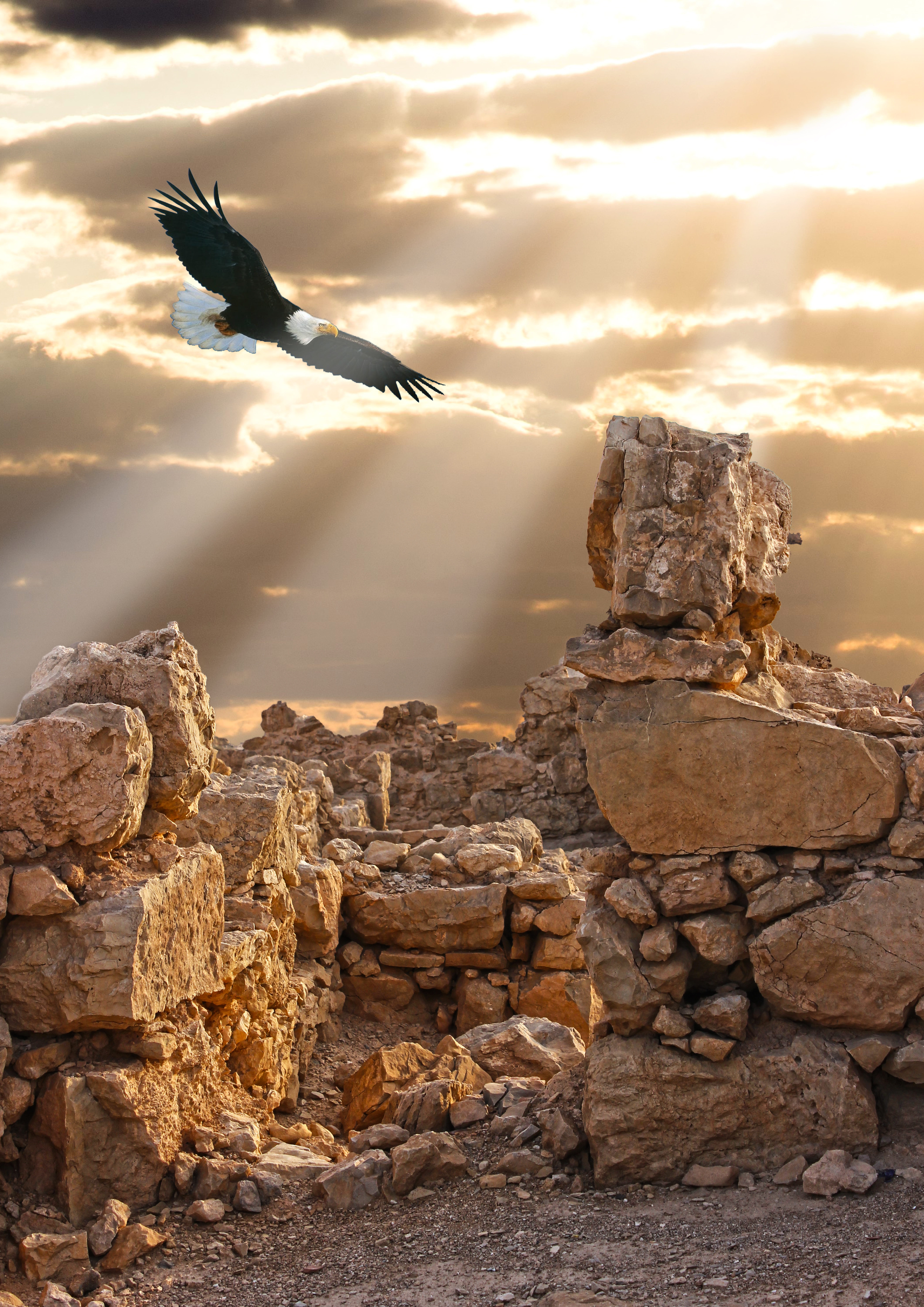 memory, sunset, nature, no people, bird, mid-air, stronghold, beauty in nature, seagull, 8K, animal themes, rubble, animals in the wild, stones, cloud - sky, Phone HD Wallpaper