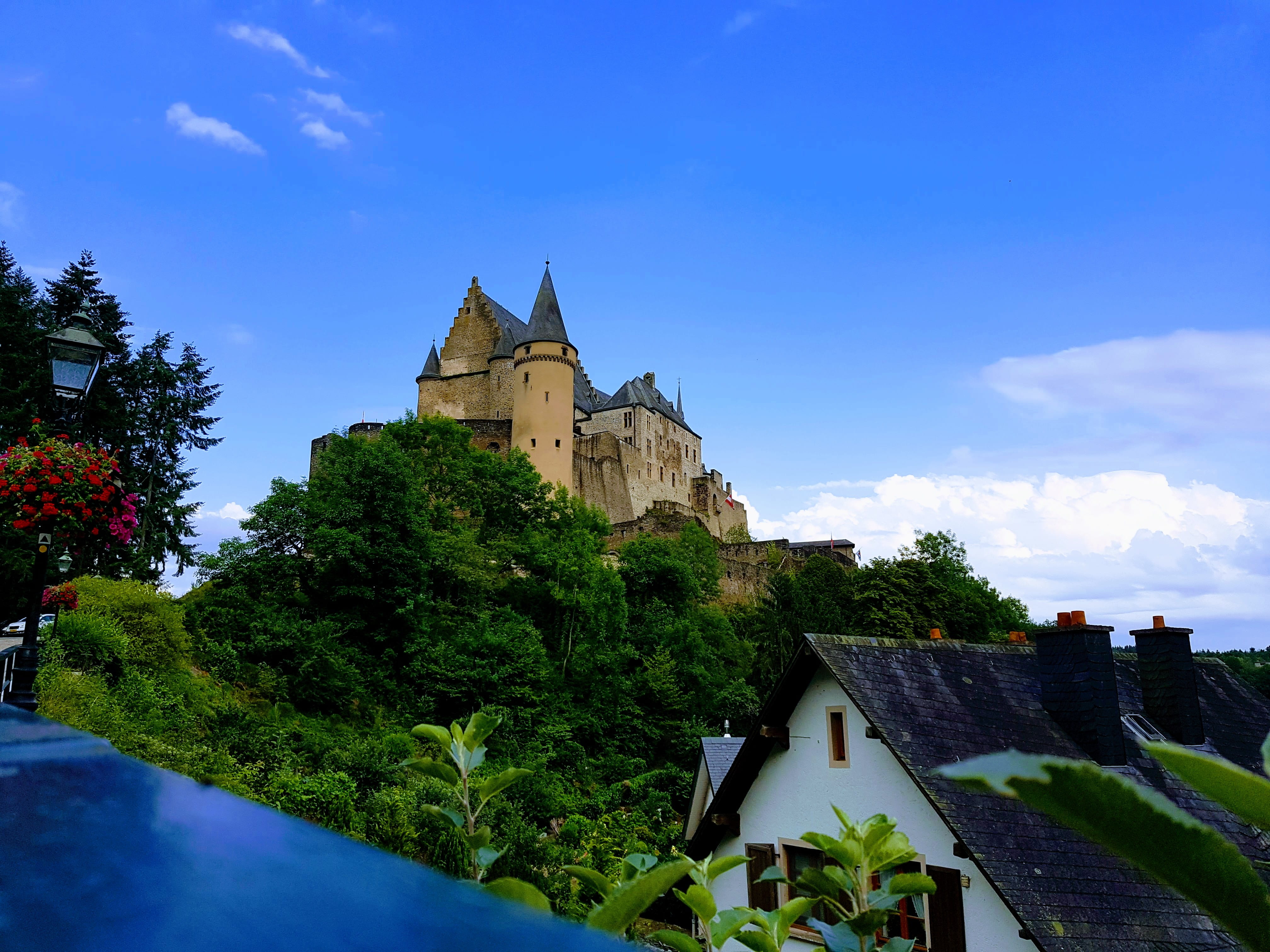 tree, place of worship, chateau, building, fortress, plant, low angle view, palace, outdoors, architecture, day, lock, vianden, sky, manor, the past, padlock, HD Wallpaper