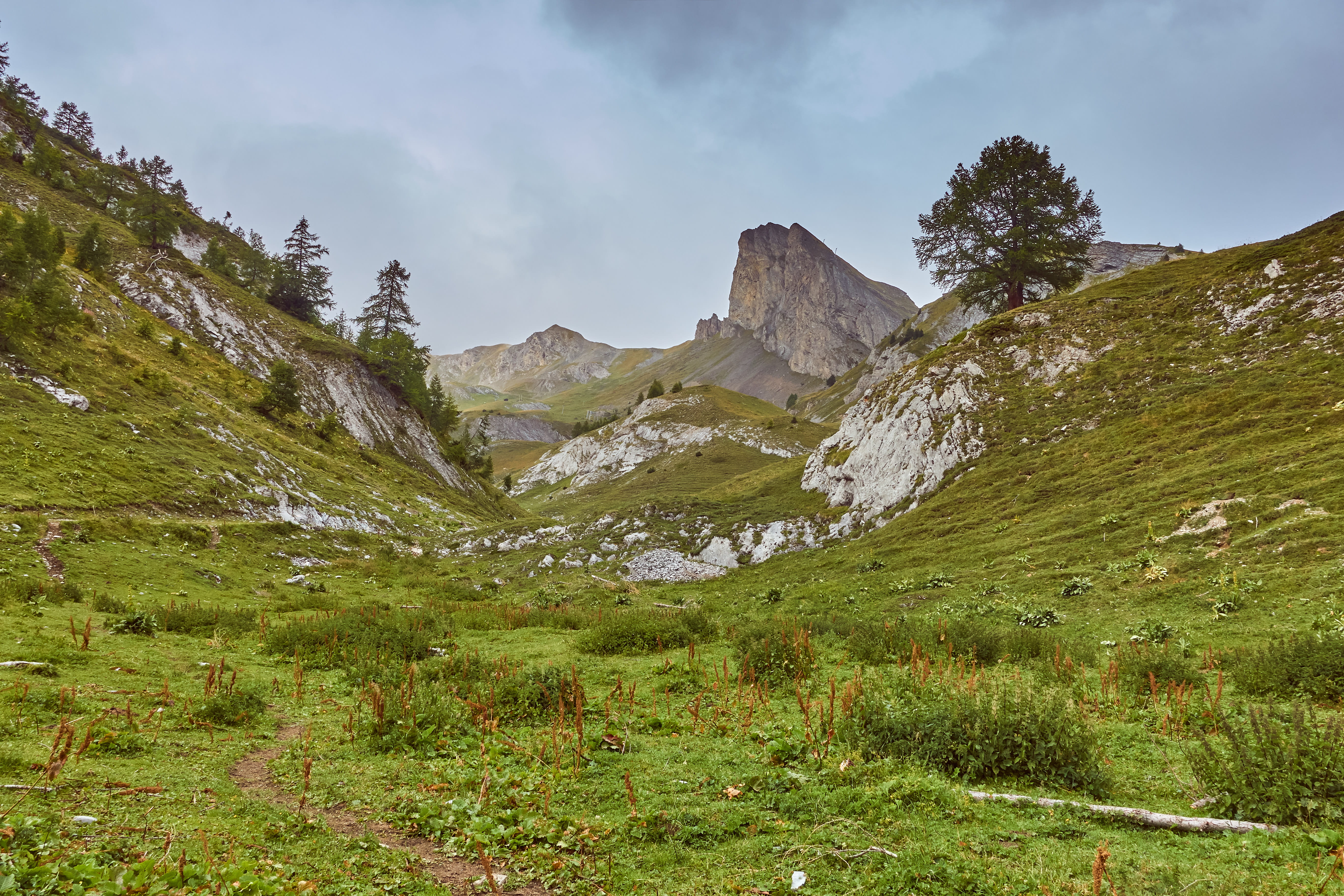 suisse, valley, end of summer, plant, dark, tranquil scene, wild, summer, land, growth, green, mountain, non-urban scene, mountain range, mountain peak, HD Wallpaper